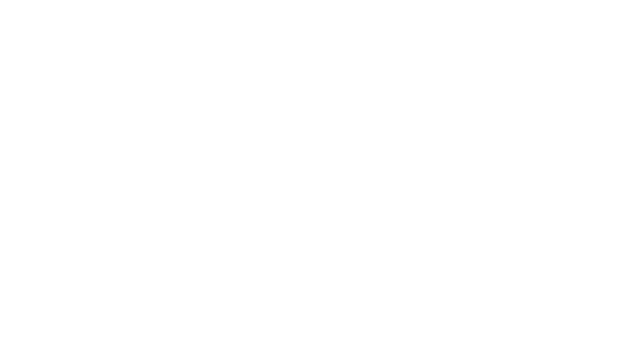 A white silhouette of a simplified bird flying on a transparent background .