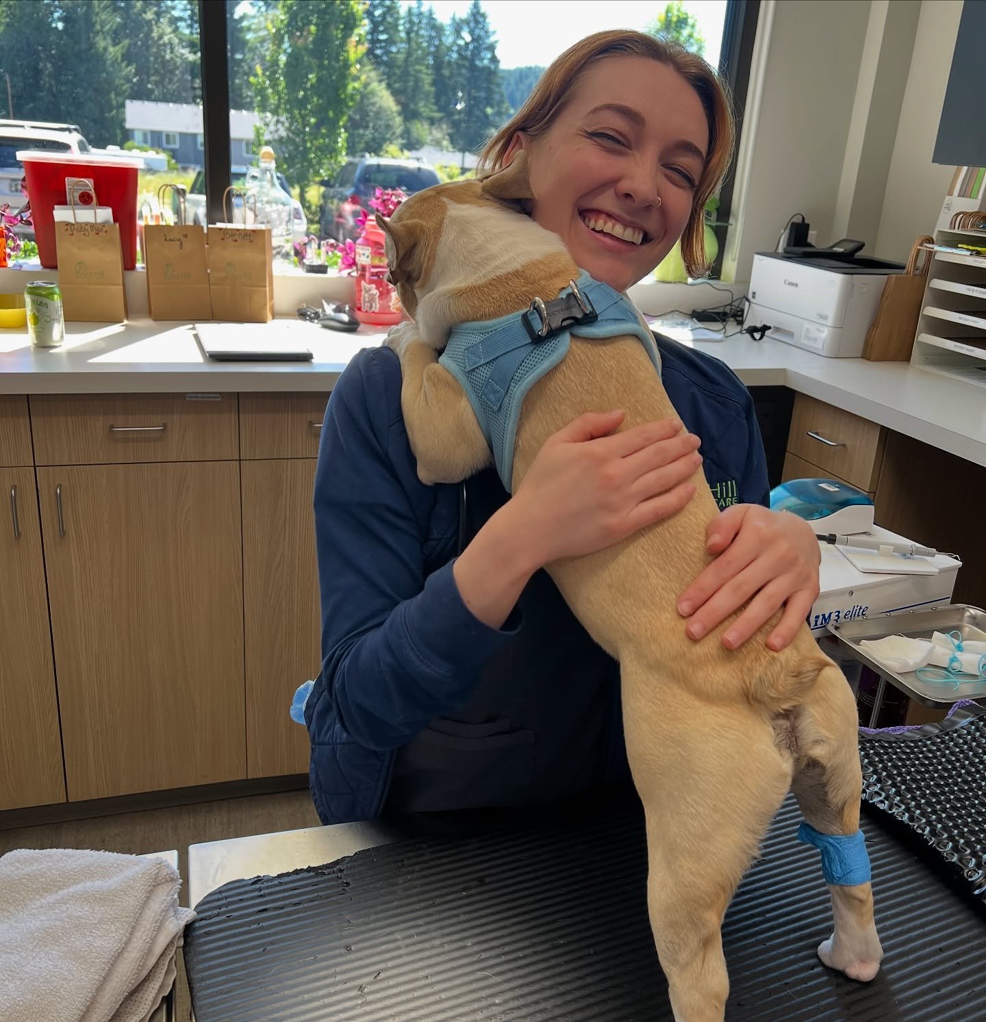 Petey made a new best friend in his surgical assistant Hanna. He needed some extra emotional support during preparation for his neuter procedure ❤️&zwj;🩹 #frenchbulldog #frenchiepuppy #frenchbulldogsofinstagram #dogsofinstagram #catsofinstagram #pup