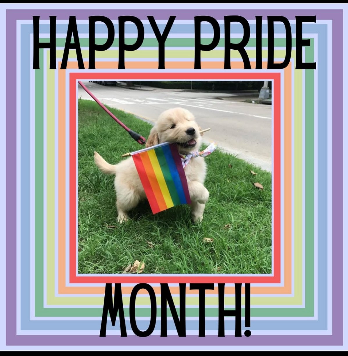 Happy Pride Month from the team at Fern Hill Veterinary Care 🏳️&zwj;🌈 #pridemonth2025🏳️&zwj;🌈 #pridemonth #lgbtq #lgbtqsupport