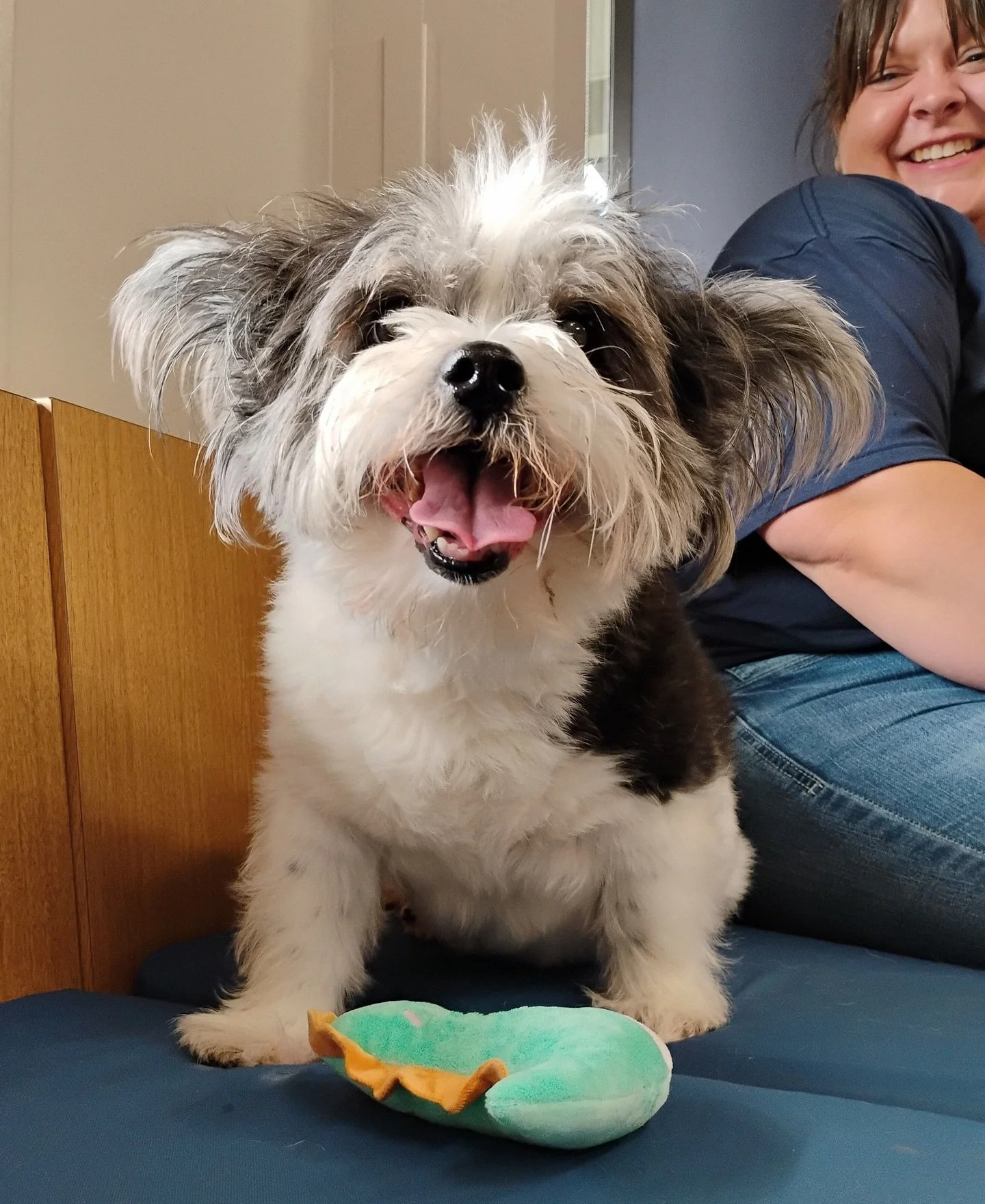 It was so much fun handing out toys for &ldquo;Just Because&rdquo; day! 😍❤️🧸🦴 #dogsofinstagram #catsofinstagram #puppiesofinstagram #kittensofinstagram #vetsofinstagram #vettechsofinstagram #vettech #vetmed #vet #pnwvet #fernhillvet #fernhillveter