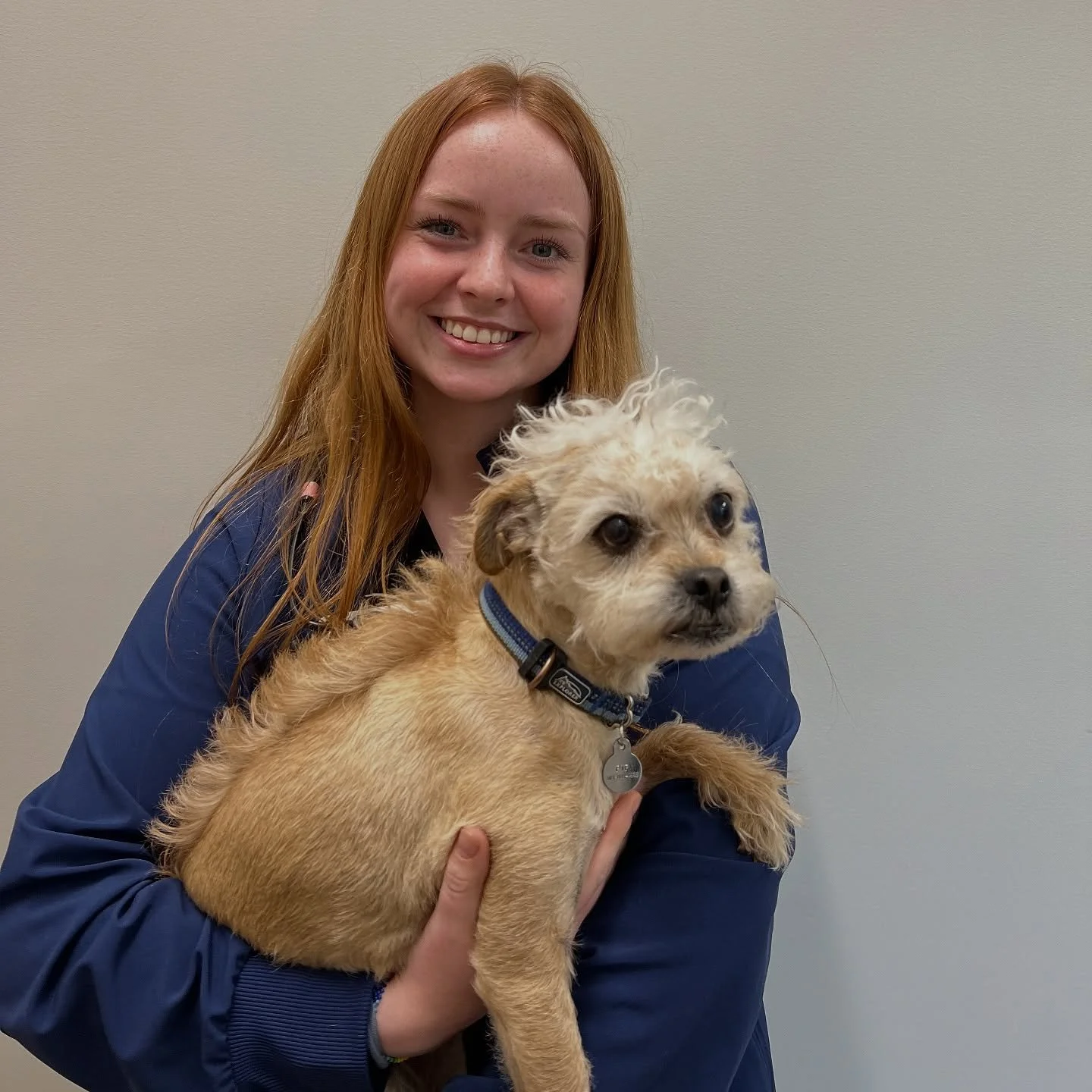 Staff shoutout!! Meet Jaiden- who is now officially a certified technician! Jaiden completed the technician program through Portland Community College, and recently passed her Veterinary Technician National Exam (VTNE). Jaiden has been working in the