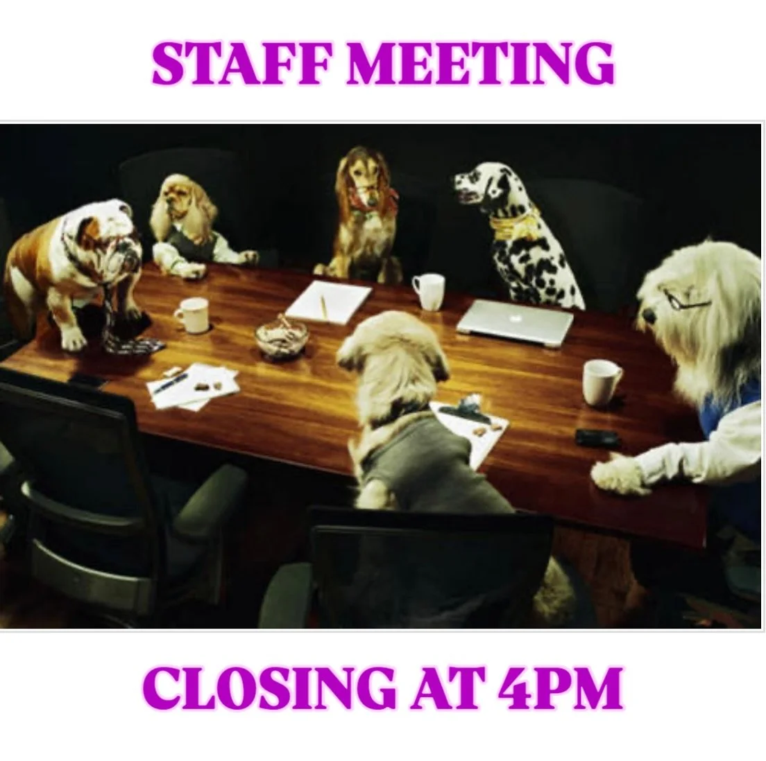 Fern Hill Veterinary Care will be closing early today, September 16th, for a staff meeting. We will close today at 4pm, and will be open again tomorrow for normal business hours of 9am-6pm!