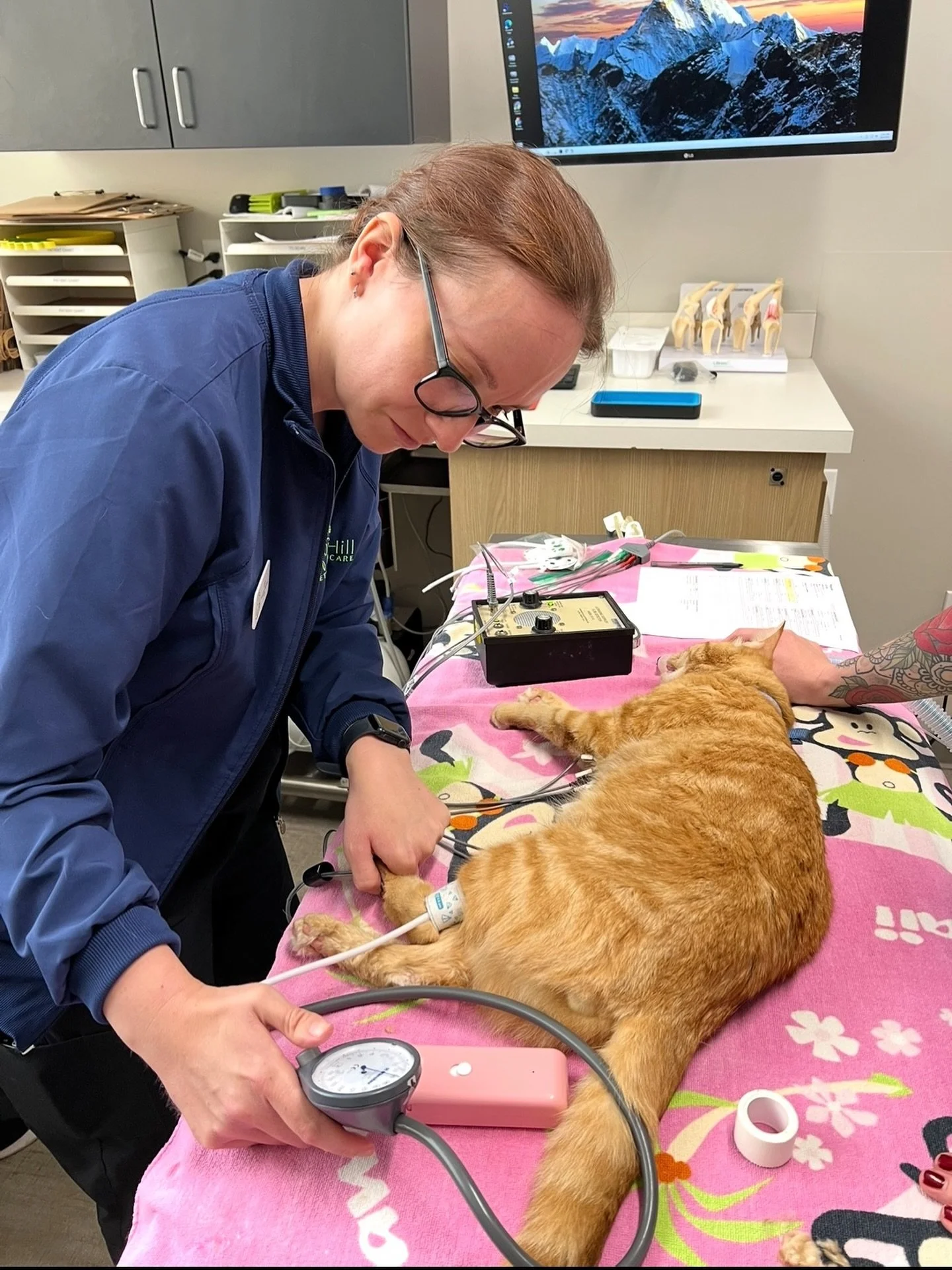 Blood pressure is one of the most important vitals to monitor on our patients, especially when they are sedated or under anesthesia. Pictured is veterinary assistant Liz taking a manual blood pressure measurement with a Doppler machine. There are man