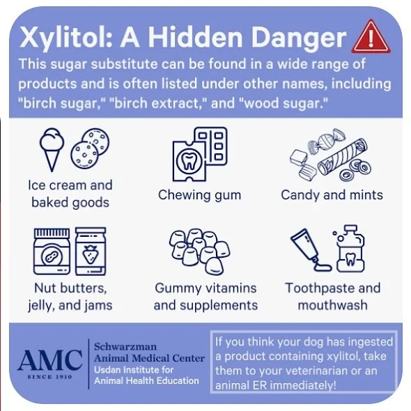 X is for xylitol poisoning! Xylitol, also commonly called birch sugar, is commonly found in items with artificial sweetener, such as gum, toothpaste, and even some kinds of peanut butter! It is very important to make sure any items your dog consumes 