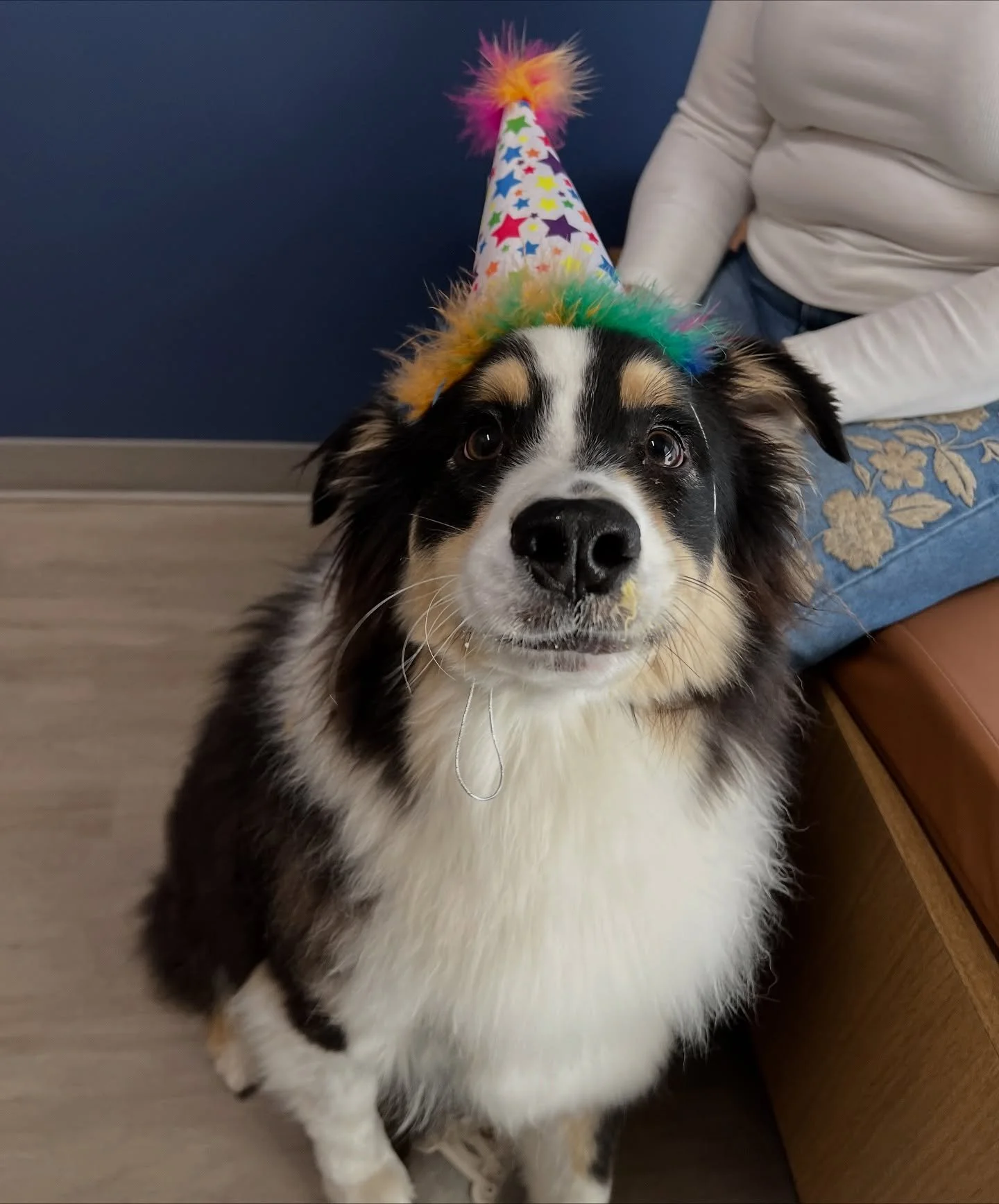 Happy 1st Birthday sweet Rogue 🥳🎂🎈 #dogsofinstagram #catsofinstagram #puppiesofinstagram #kittensofinstagram #vetsofinstagram #vettechsofinstagram #vettech #vetmed #vet #pnwvet #fernhillvet #fernhillveterinarycare