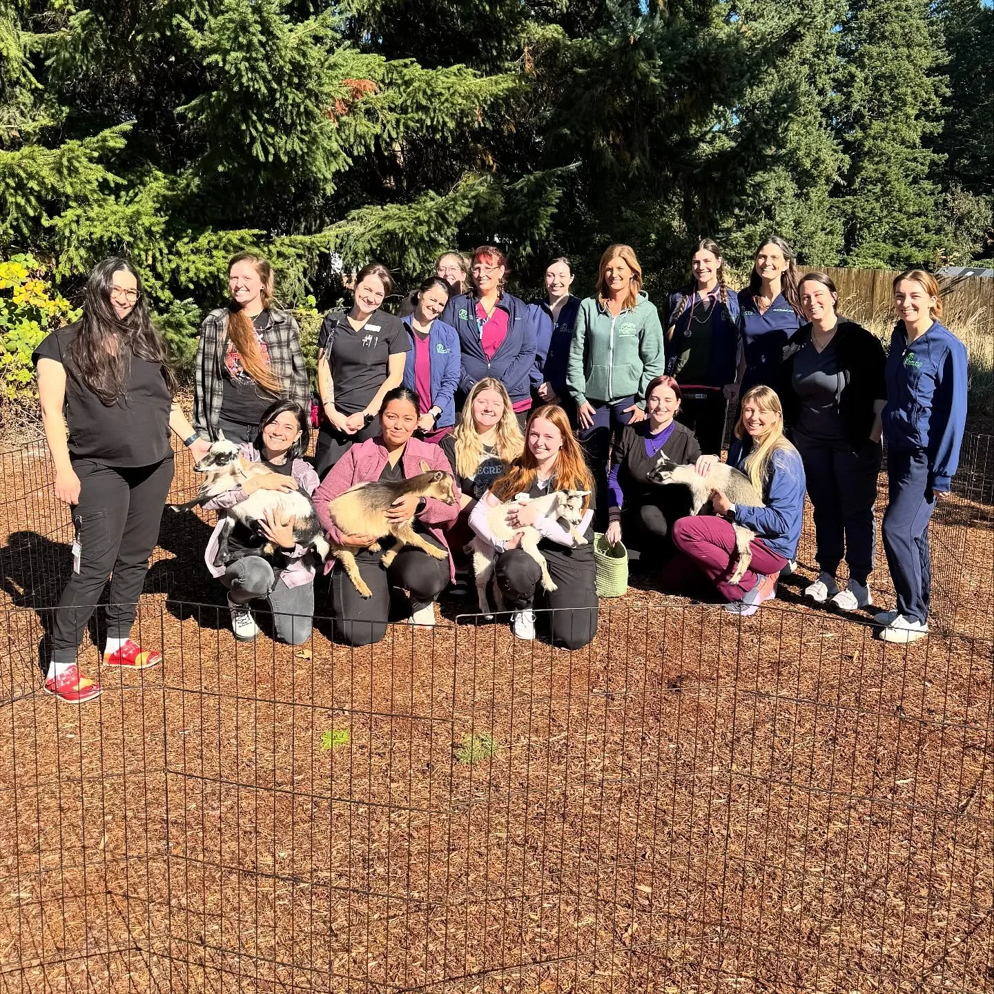 Thank you @portlandgoatparties for coming to visit our team for Tech Week! As you can tell, we all had a blast! This was a perfect dose of cuteness on top of a fun week celebrating. Who thinks we should start seeing goats at the clinic? 😉😍🐐#babygo