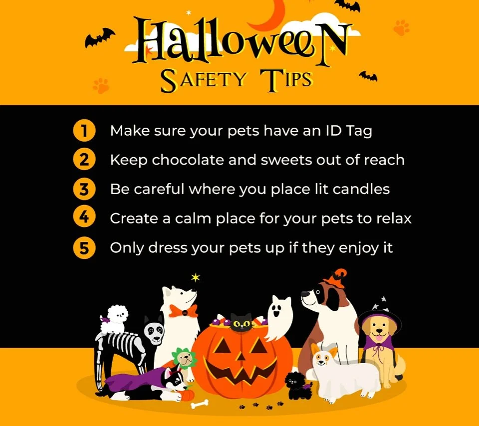 Happy Halloween from Fern Hill Veterinary Care! We hope everyone has a safe and fun holiday! 🎃🍫🍭 #dogsofinstagram #catsofinstagram #puppiesofinstagram #kittensofinstagram #vetsofinstagram #vettechsofinstagram #vettech #vetmed #vet #pnwvet #fernhil