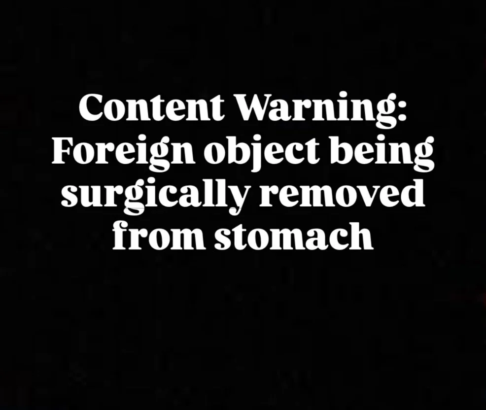 Repeat offender alert! Sweet Purkinje, who was previously posted about regarding needing surgery to remove a squeaker, thought this avocado looked too delicious to just play with. She swallowed it whole, and unsurprisingly didn&rsquo;t feel great the