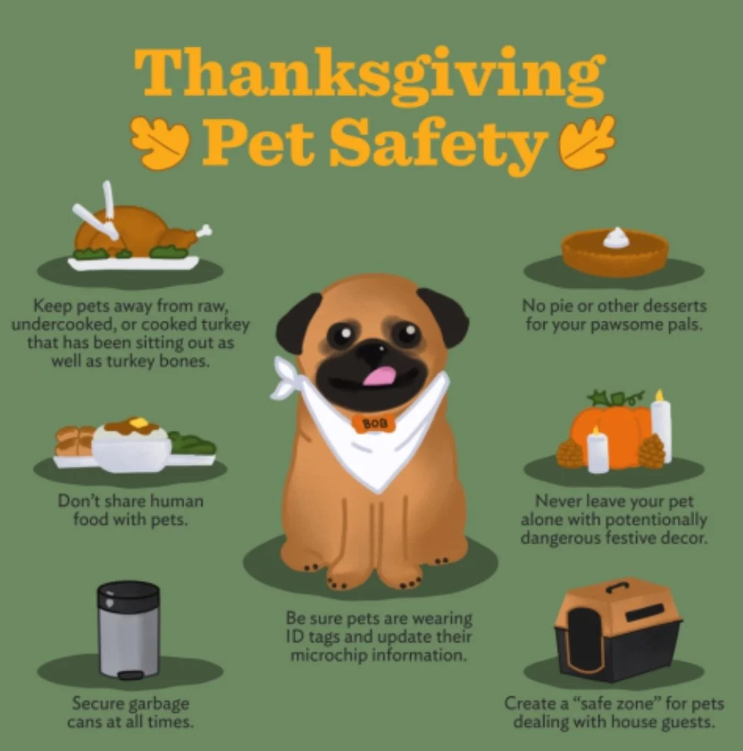 Wishing everyone a happy and safe Thanksgiving! ❤️