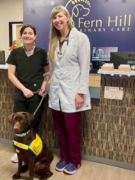 Happy graduation Jamoca! This pretty girl is part of the Coffee Creek Puppy Program, which is a great organization that raises dogs to become a service animal for people with disabilities, as well as provides adults in custody a sense of purpose and 