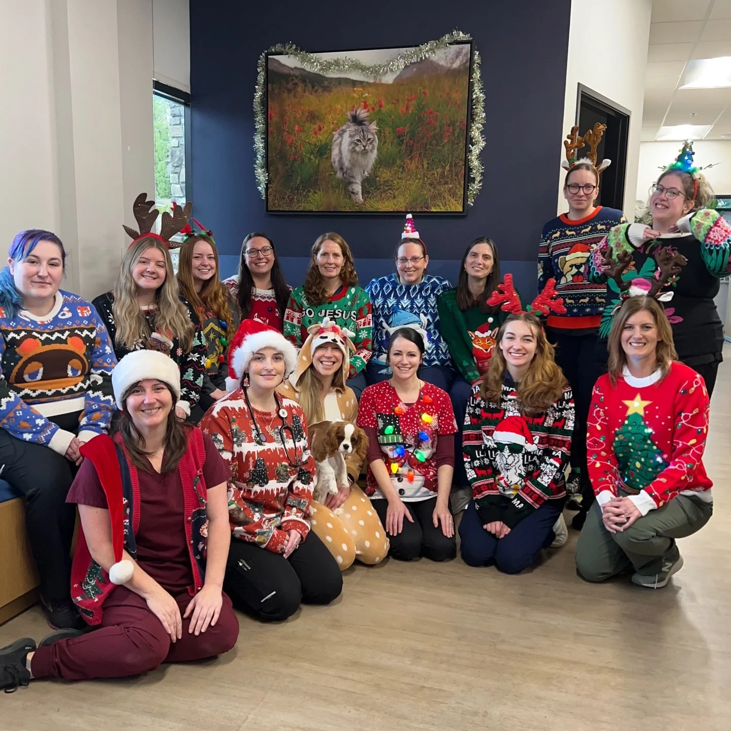 Can you tell we love Christmas sweaters? 😍 So much fun celebrating the holidays! 🎄🎅 #christmassweaters #merrychristmas #fernhillveterinarycare