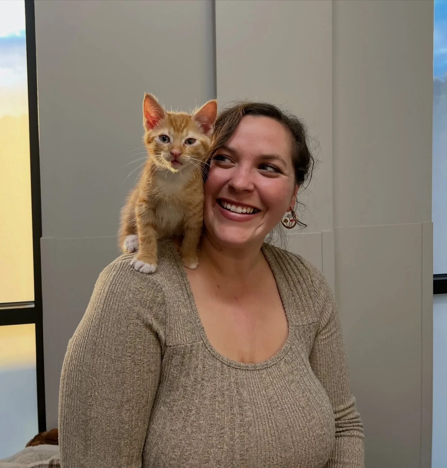 Sunny thinks he&rsquo;s a bird, not a cat! His favorite spot is on top of a shoulder! #catsofinstagram #kittensofinstagram #fernhillveterinarycare