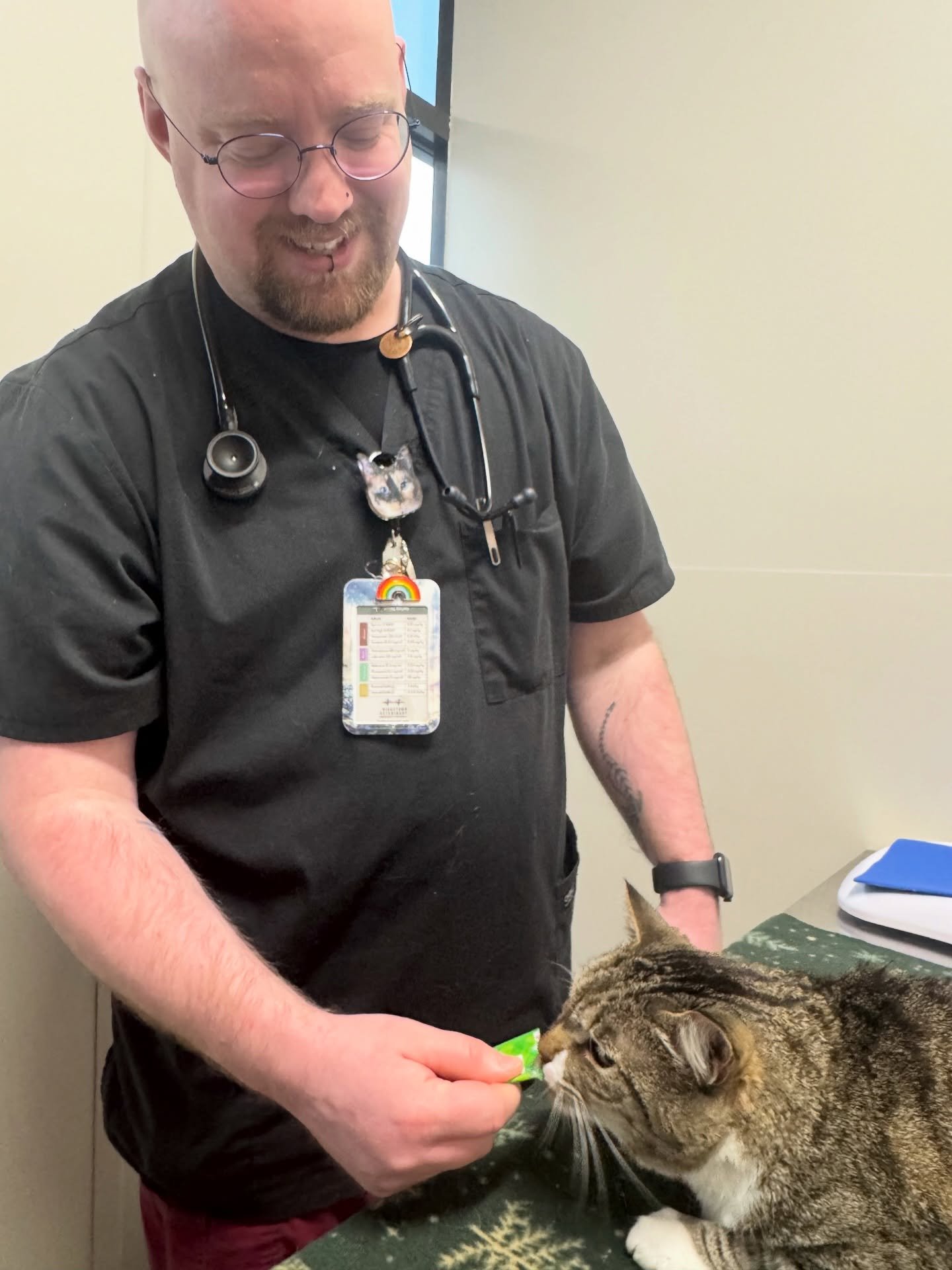 The way to Chester&rsquo;s heart is through Churu! ❤️ #churu #catsofinstagram #fernhillveterinarycare