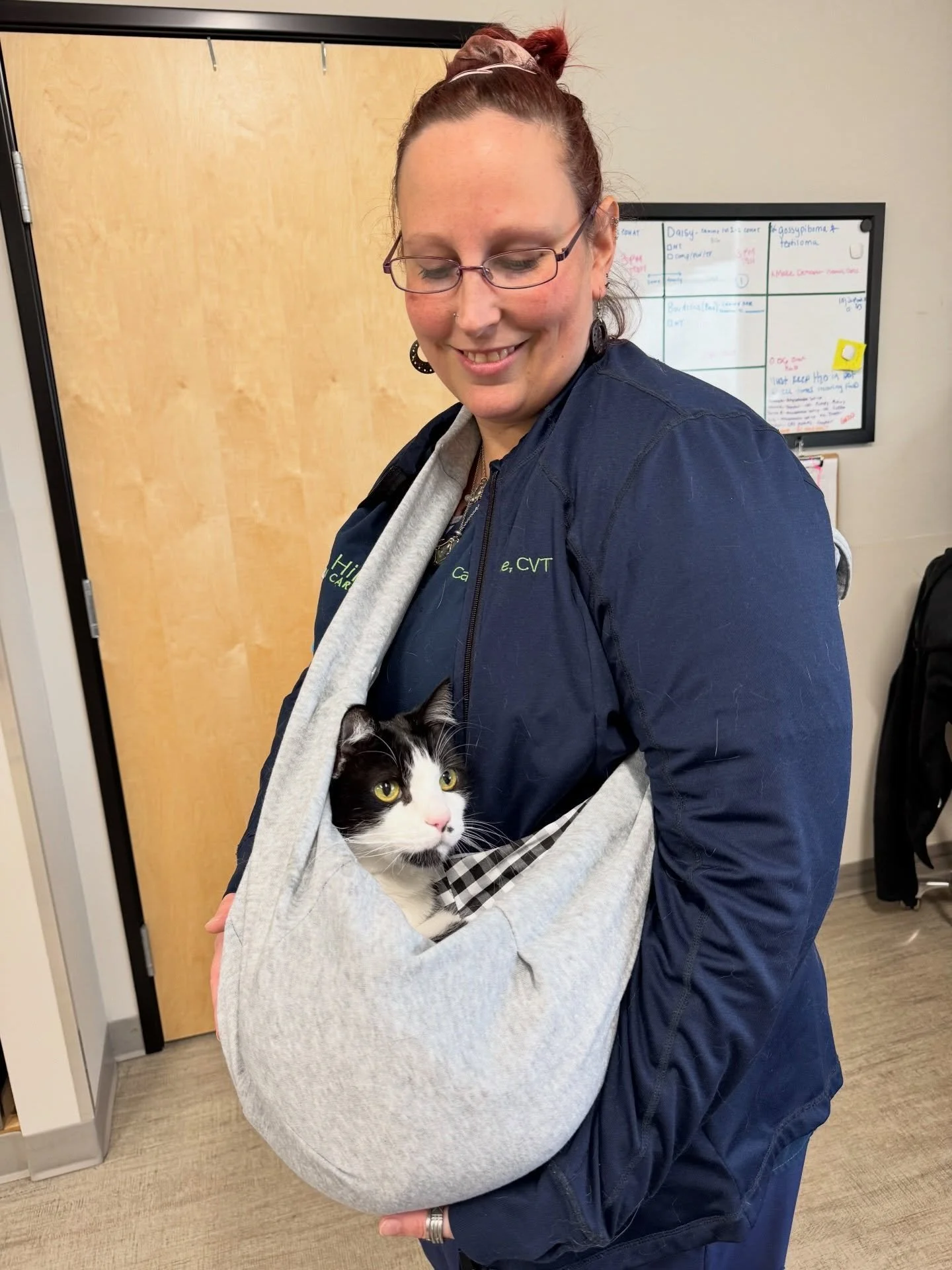 CVT Candyce hanging out with cute Oliver 🐱 #cats #catsofinstagram #fernhillveterinarycare