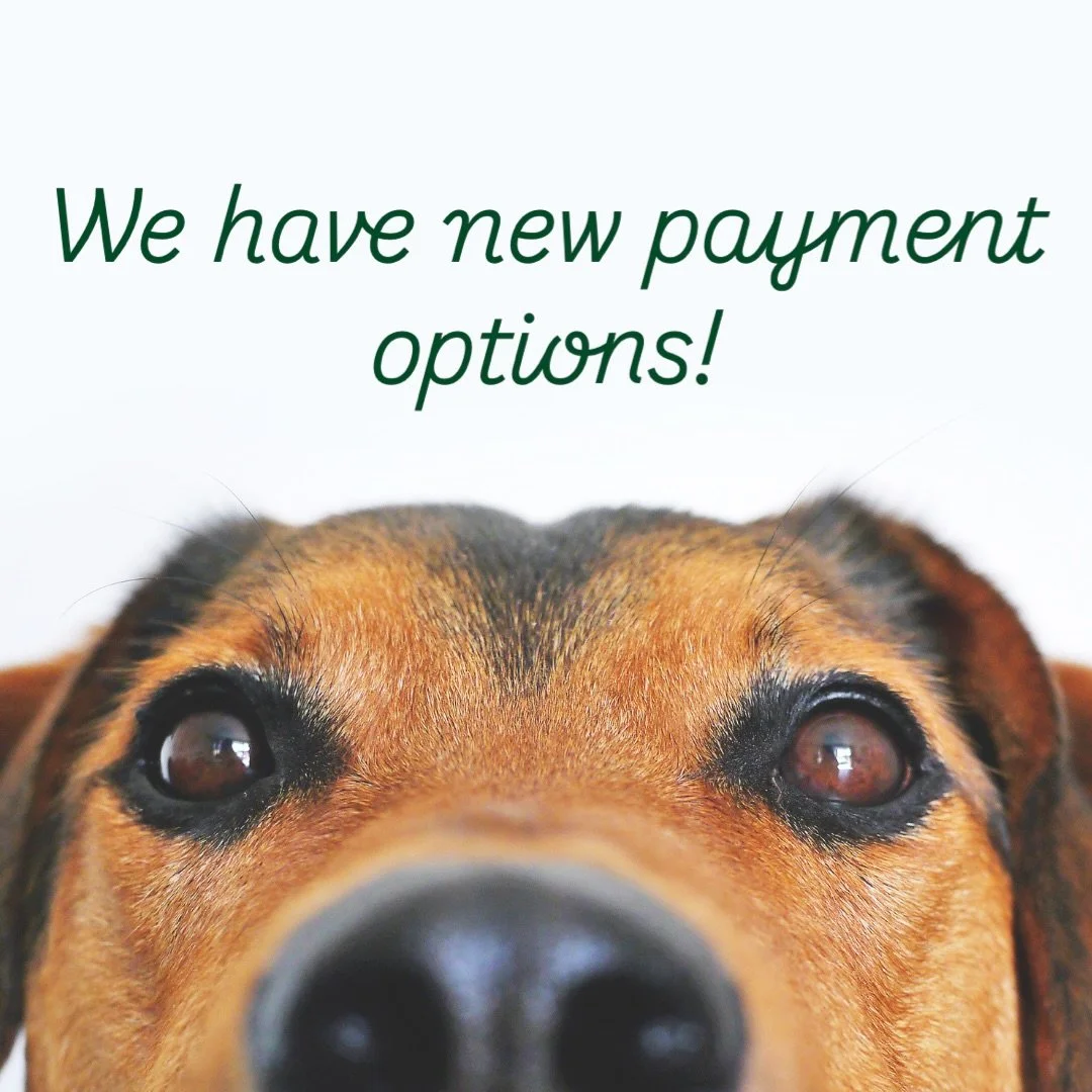 We recognize that the cost of veterinary care can feel overwhelming at times, especially when it comes to unexpected injury or illness, dental or other surgical procedures, and senior pet work-ups. We are excited to announce we are now working with C