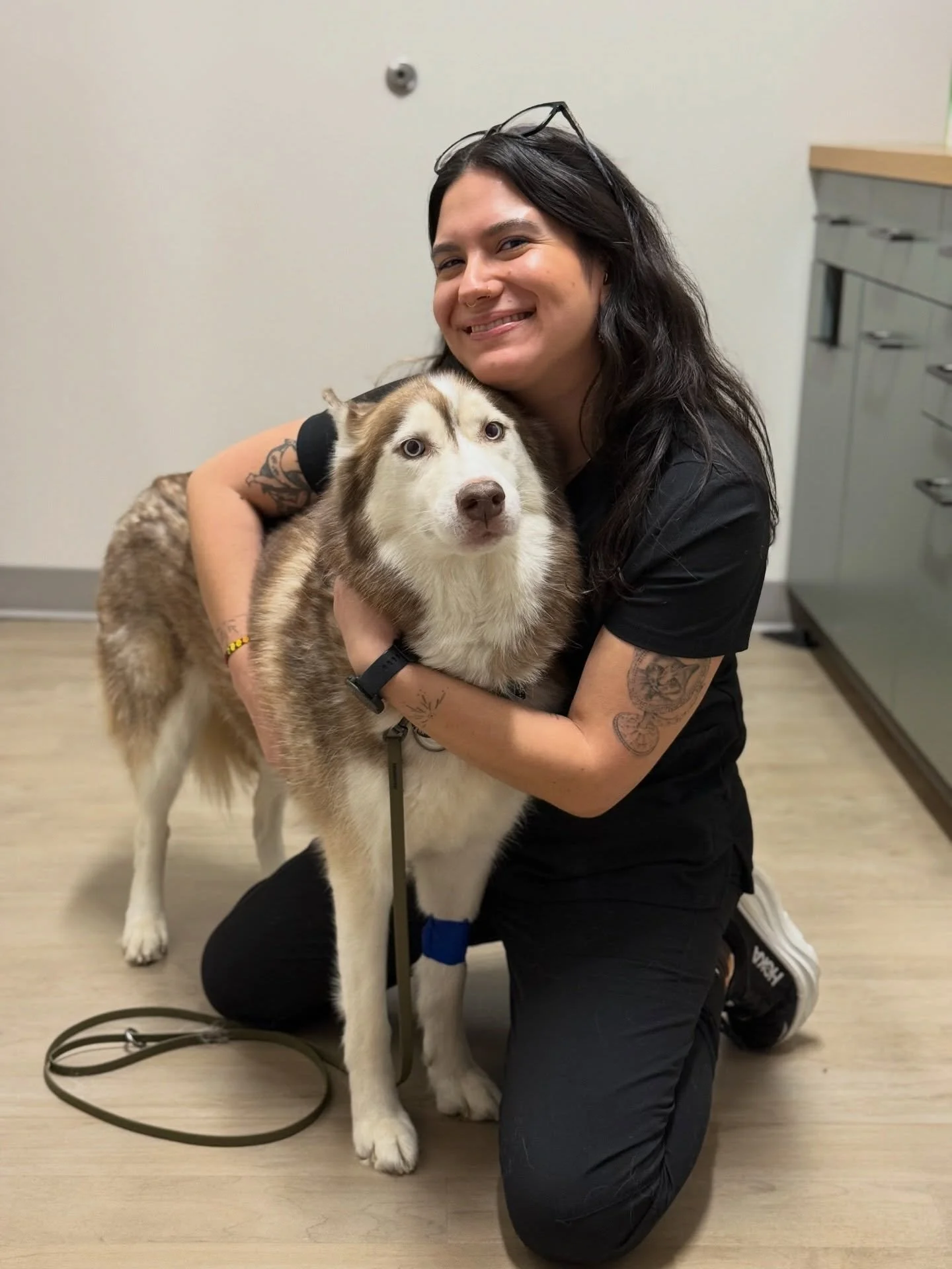 Ero hanging out with her favorite technician, Lucy! #huskies #huskiesofinstagram #fernhillveterinarycare