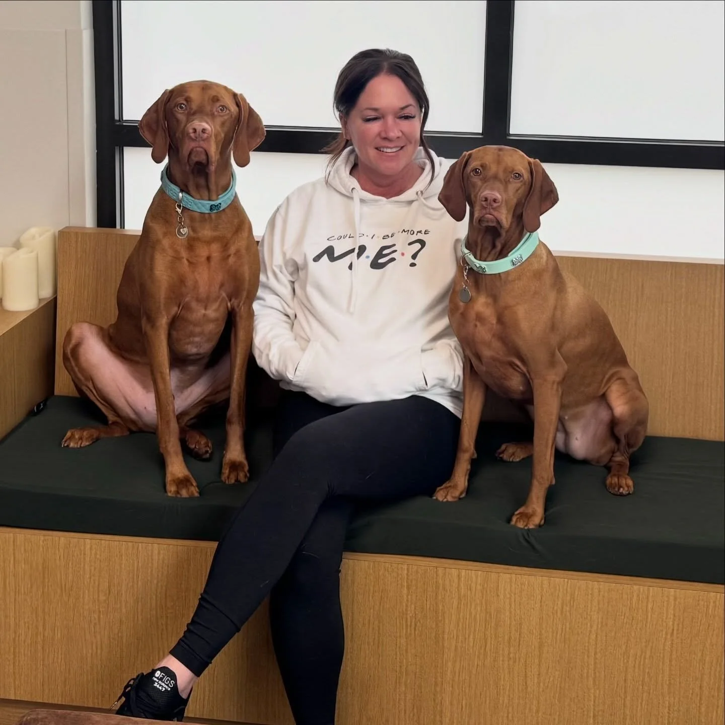 Oddi and Birdie 💙💗 Guess the breed! #dogsofinstagram #vetsofinstagram #fernhillveterinarycare