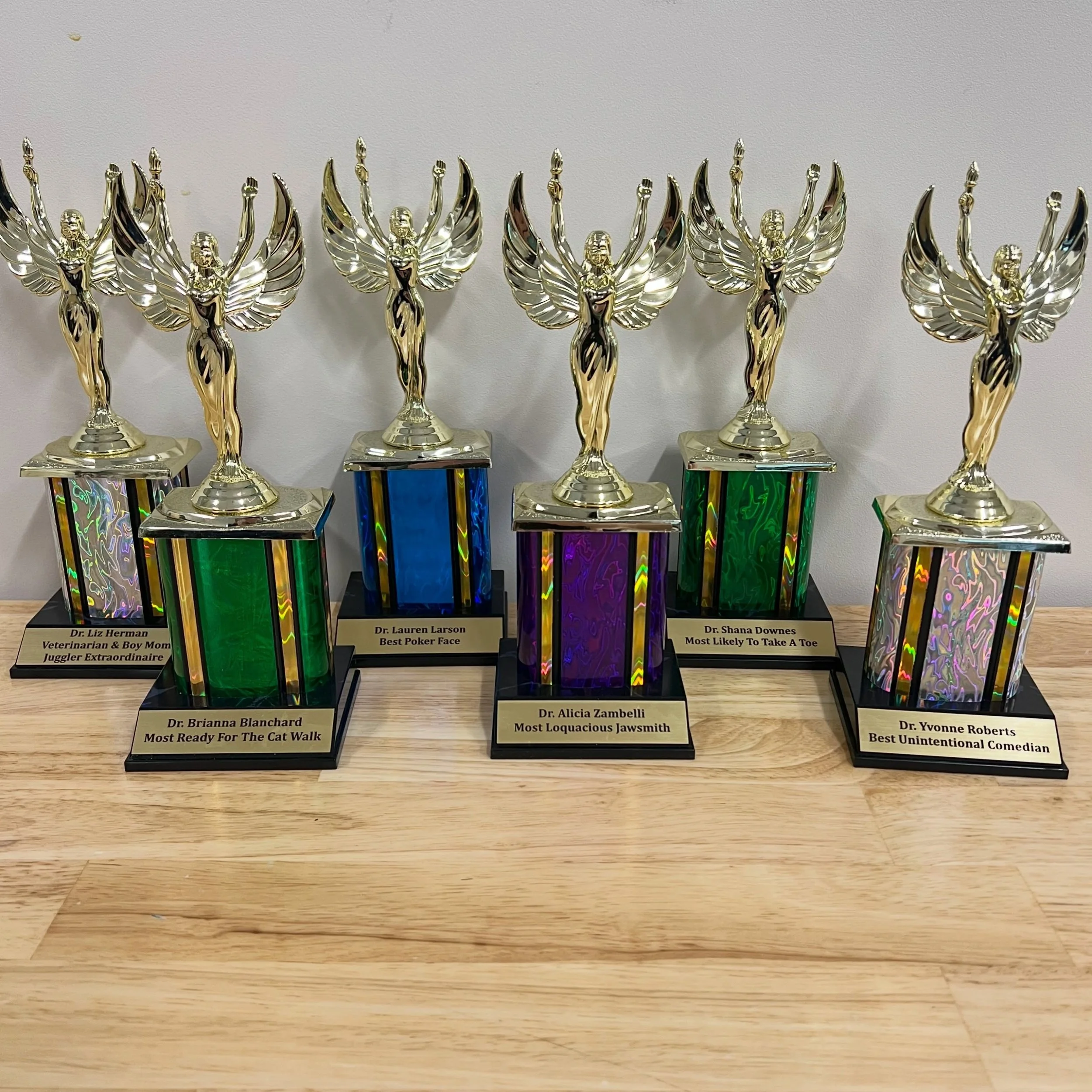 We have spent the week celebrating our wonderful doctors! Fern Hill Veterinary Care is so lucky to have such an amazing team of doctors who are so appreciative to their support staff. So, we decided to have a week appreciating them! Along with some s