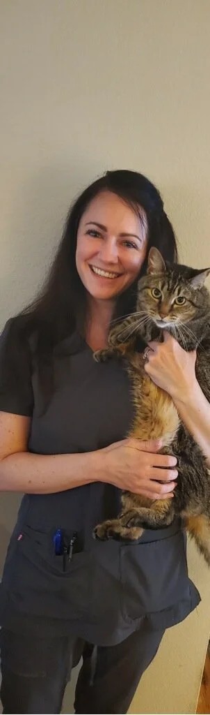 A woman in medical scrubs holding a tabby cat, smiling in front of a neutral wall.