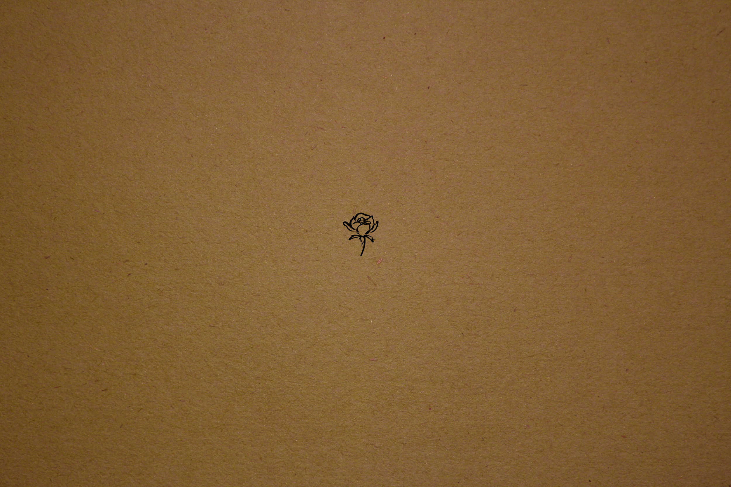 rose.png