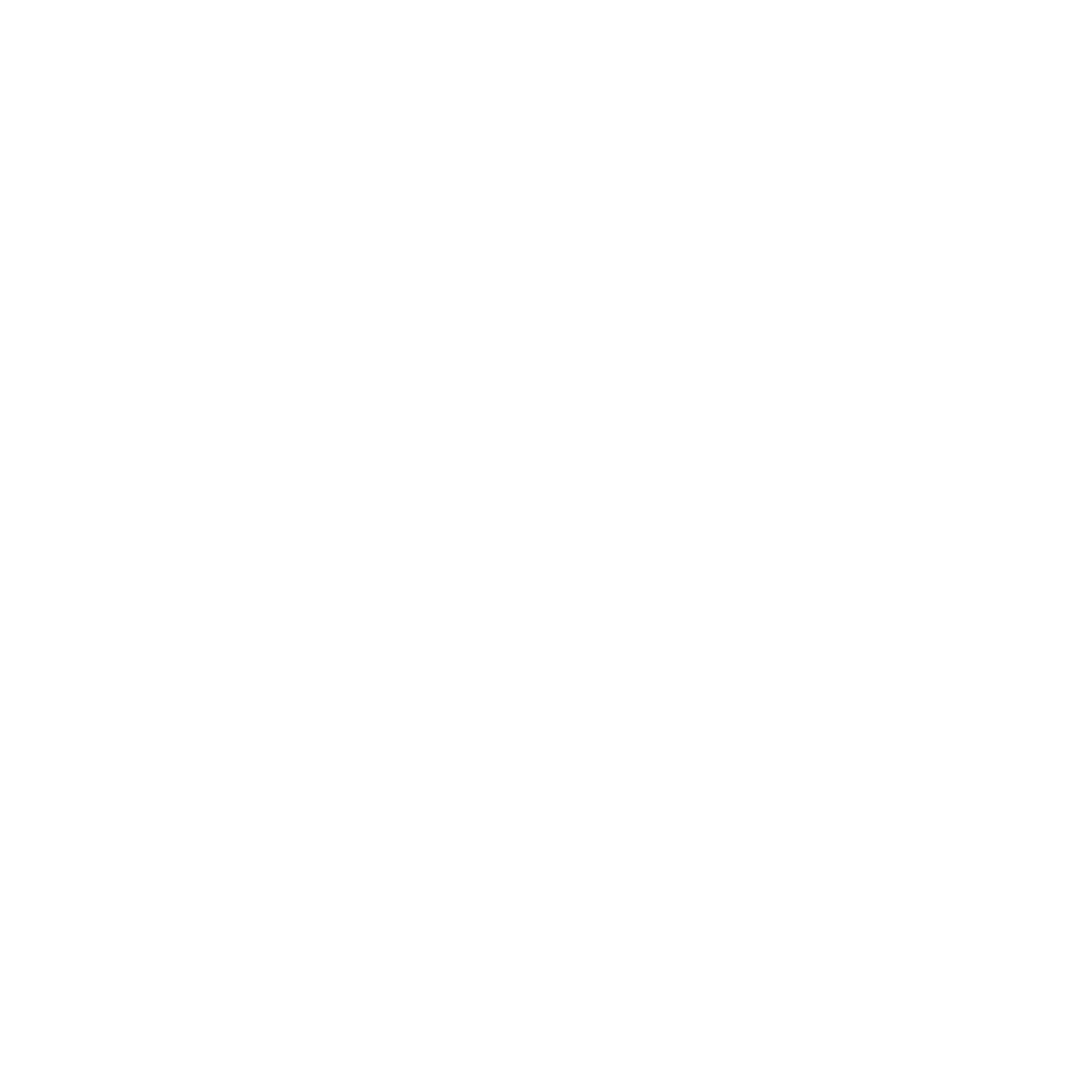 Alex MacNeil And The Revenants 