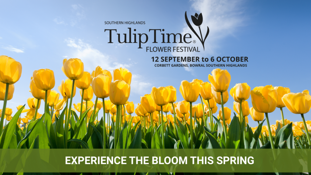 Tulip Time Festival, Day Tour Available Date Range