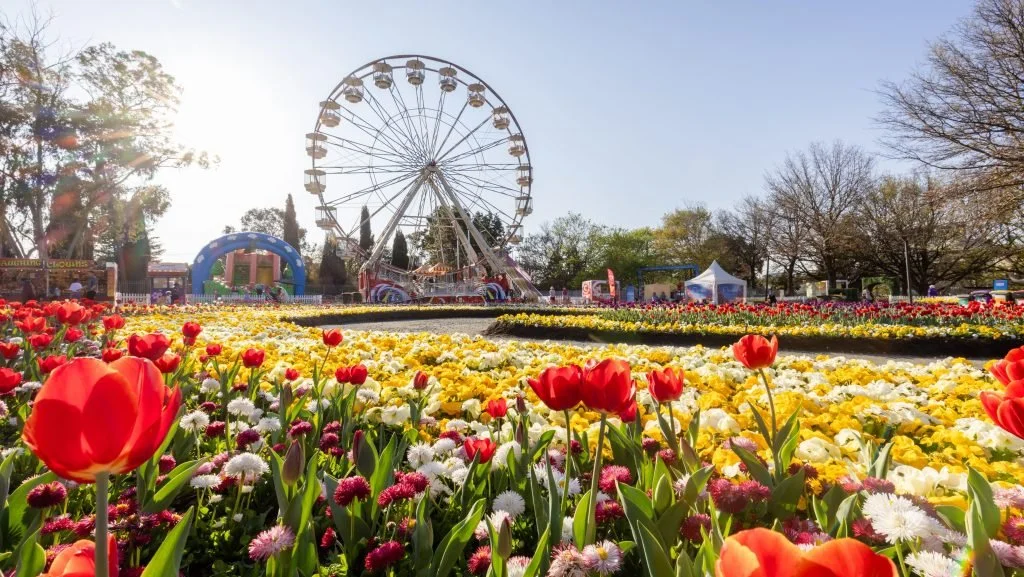 Floriade & Night Fest, 3 Day Canberra Tour