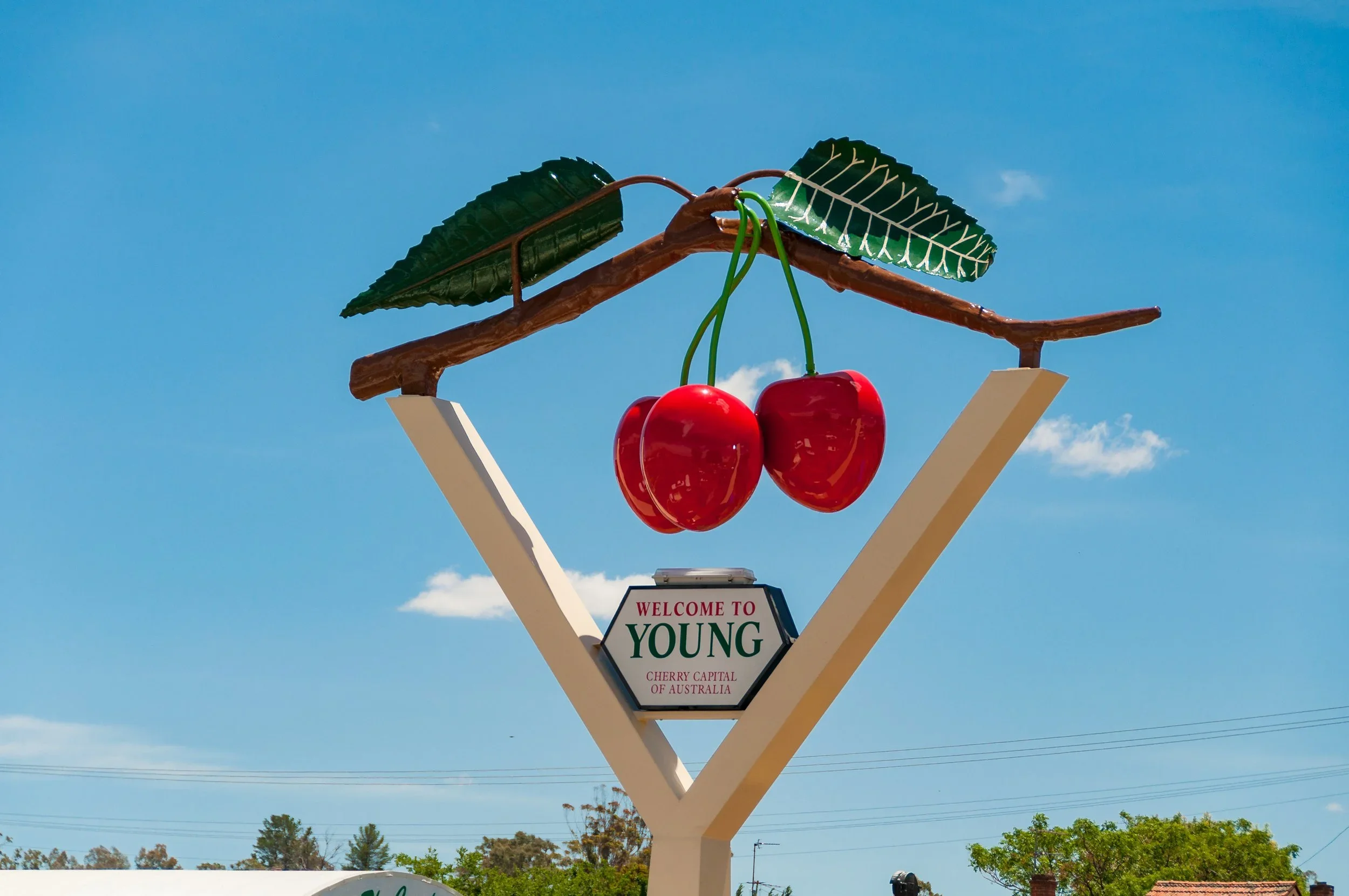 Young Cherry Festival, 6 Day Riverina Tour