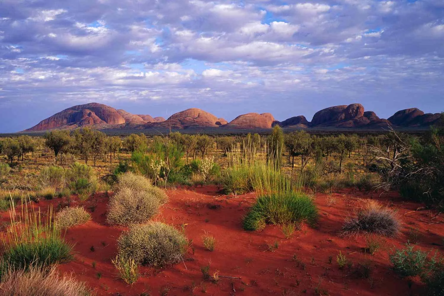 Kata Tjuta rock formations in Australian outback, with red desert landscape and sparse vegetation under a cloudy sky.