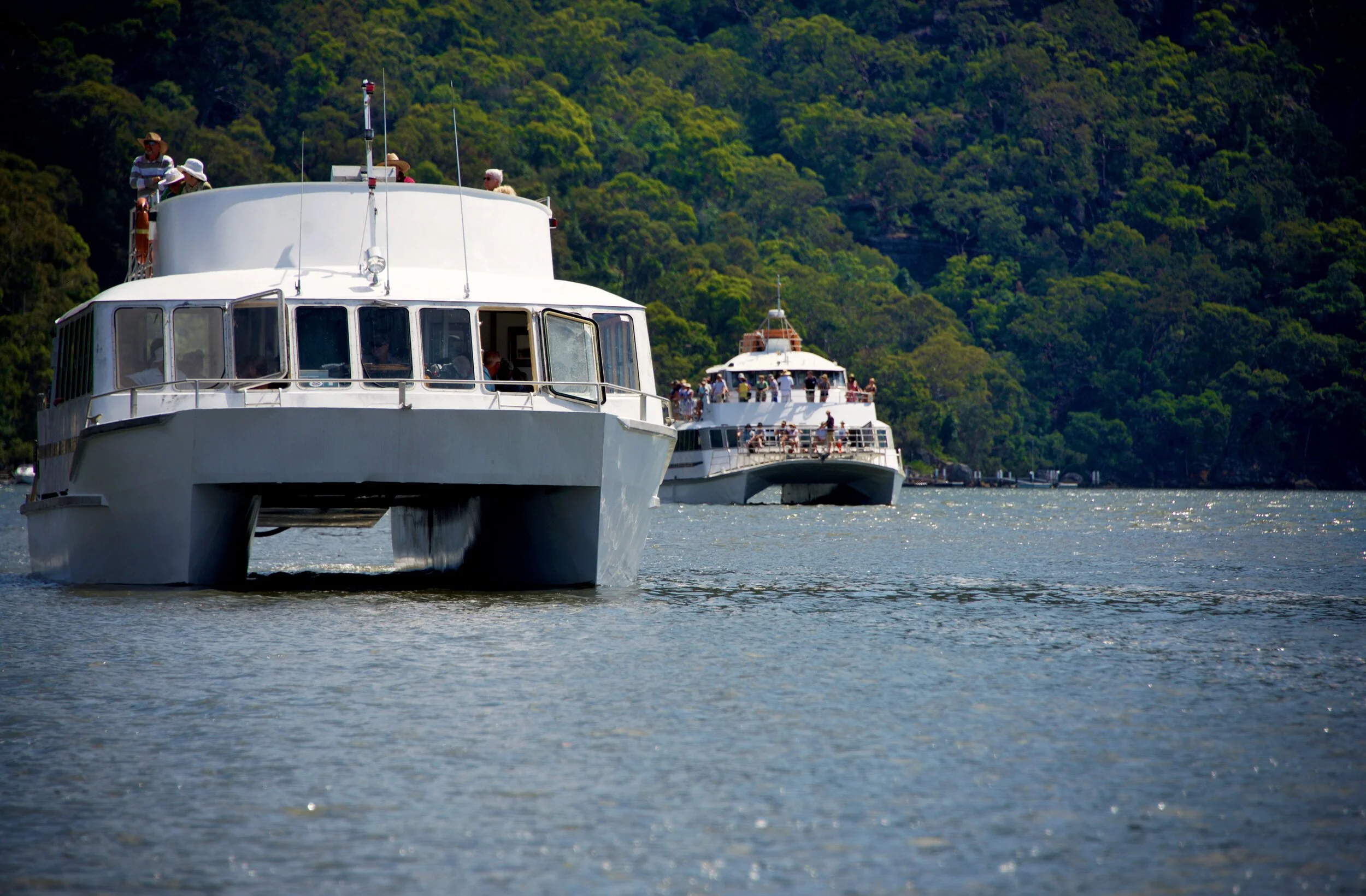 Two passenger ferries on a river with green forested hills in the background.