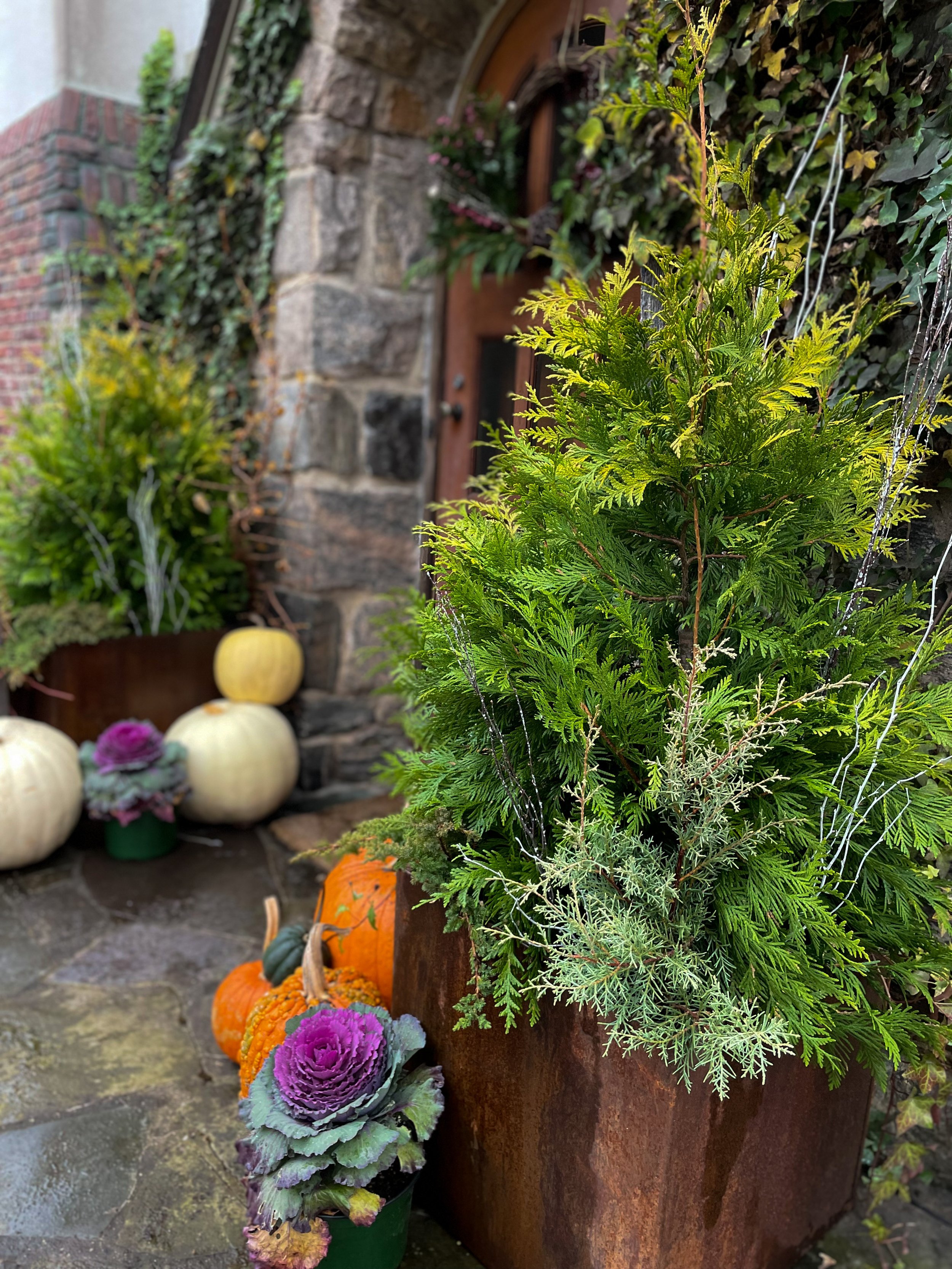 Stunning planters for every season.