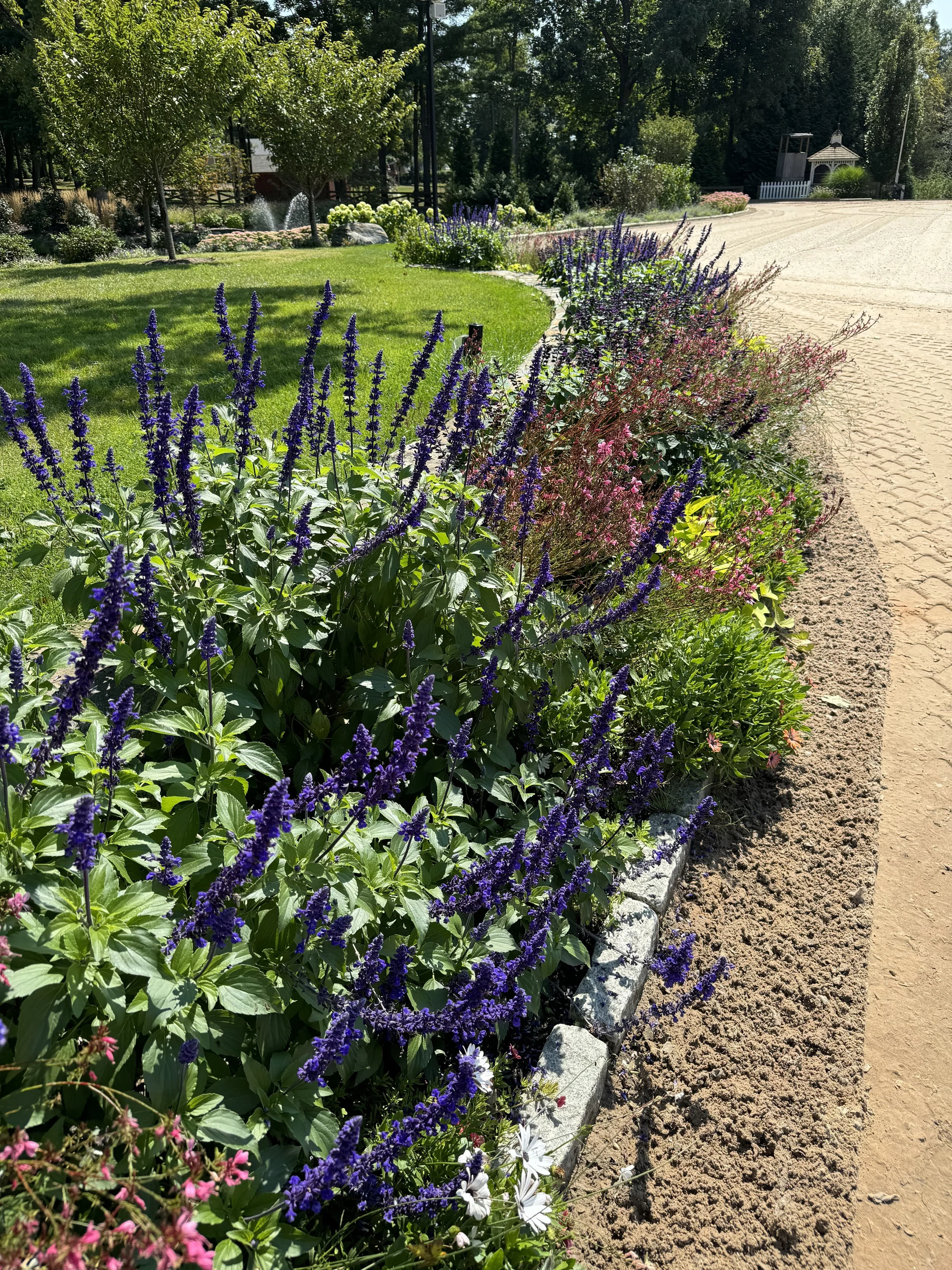 Three months after a stunning annual bed design. Gardeners always see the beauty ahead!