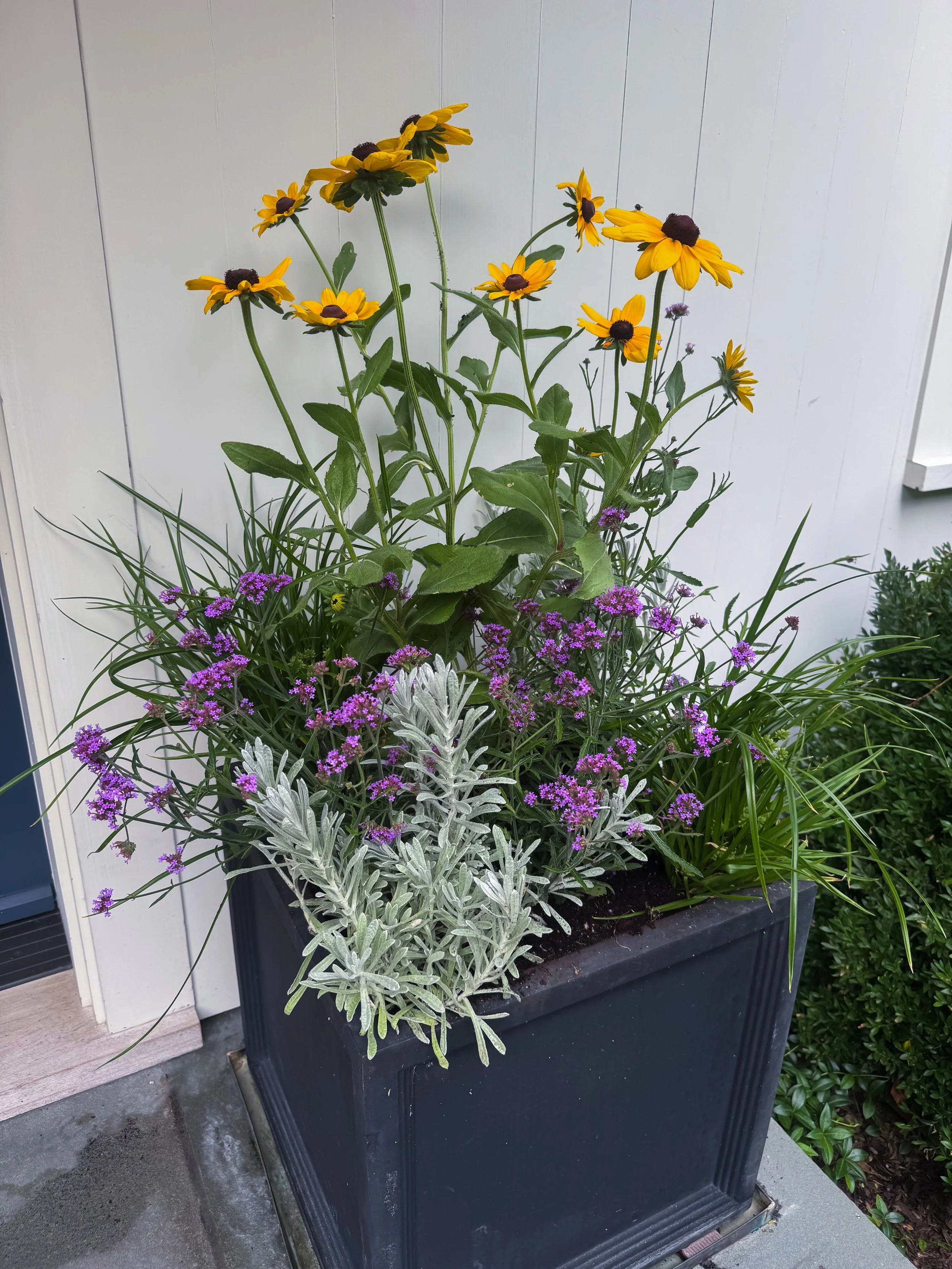 Front Porch Planter for Sun