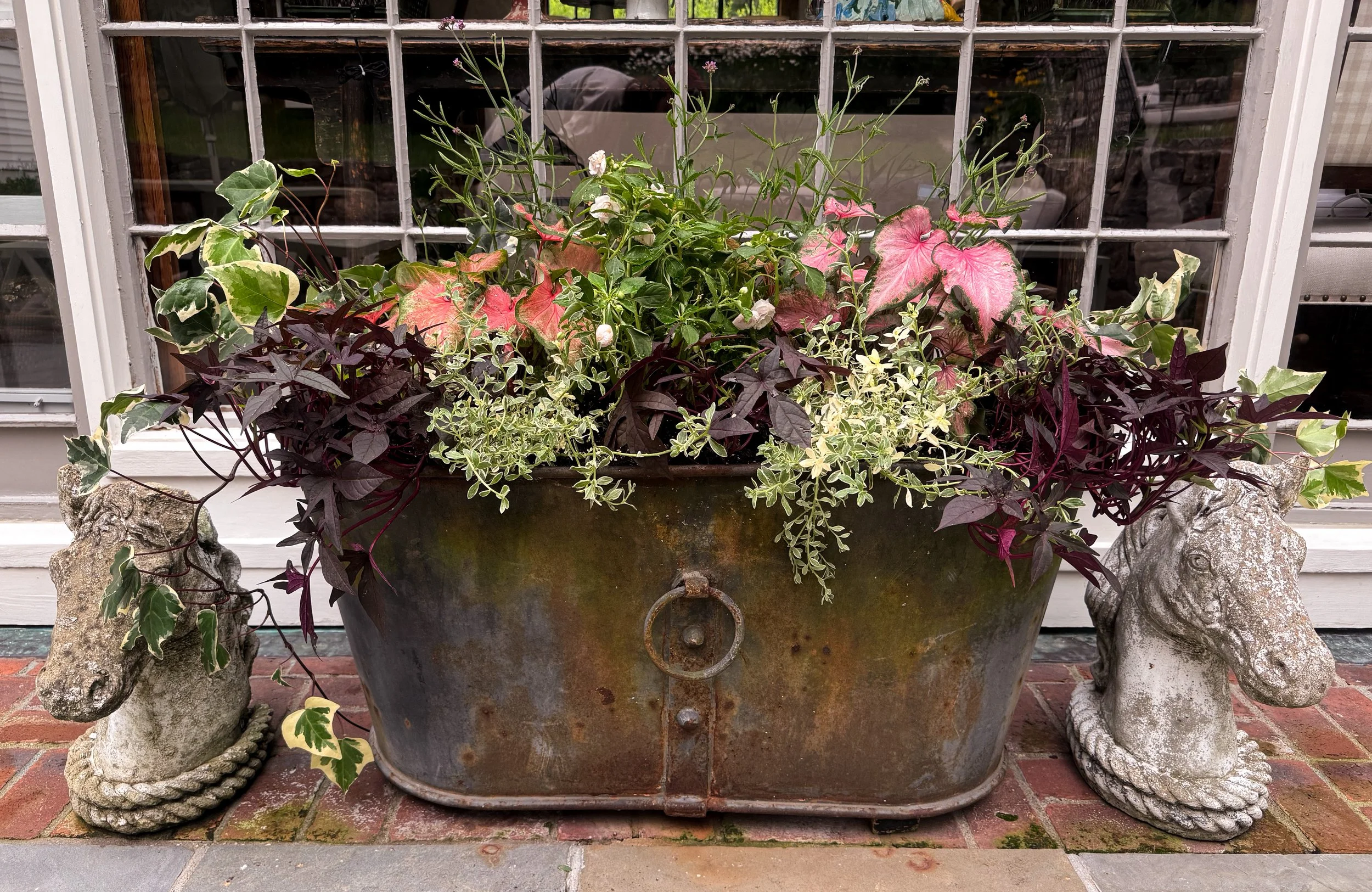 Shady Summer Planter