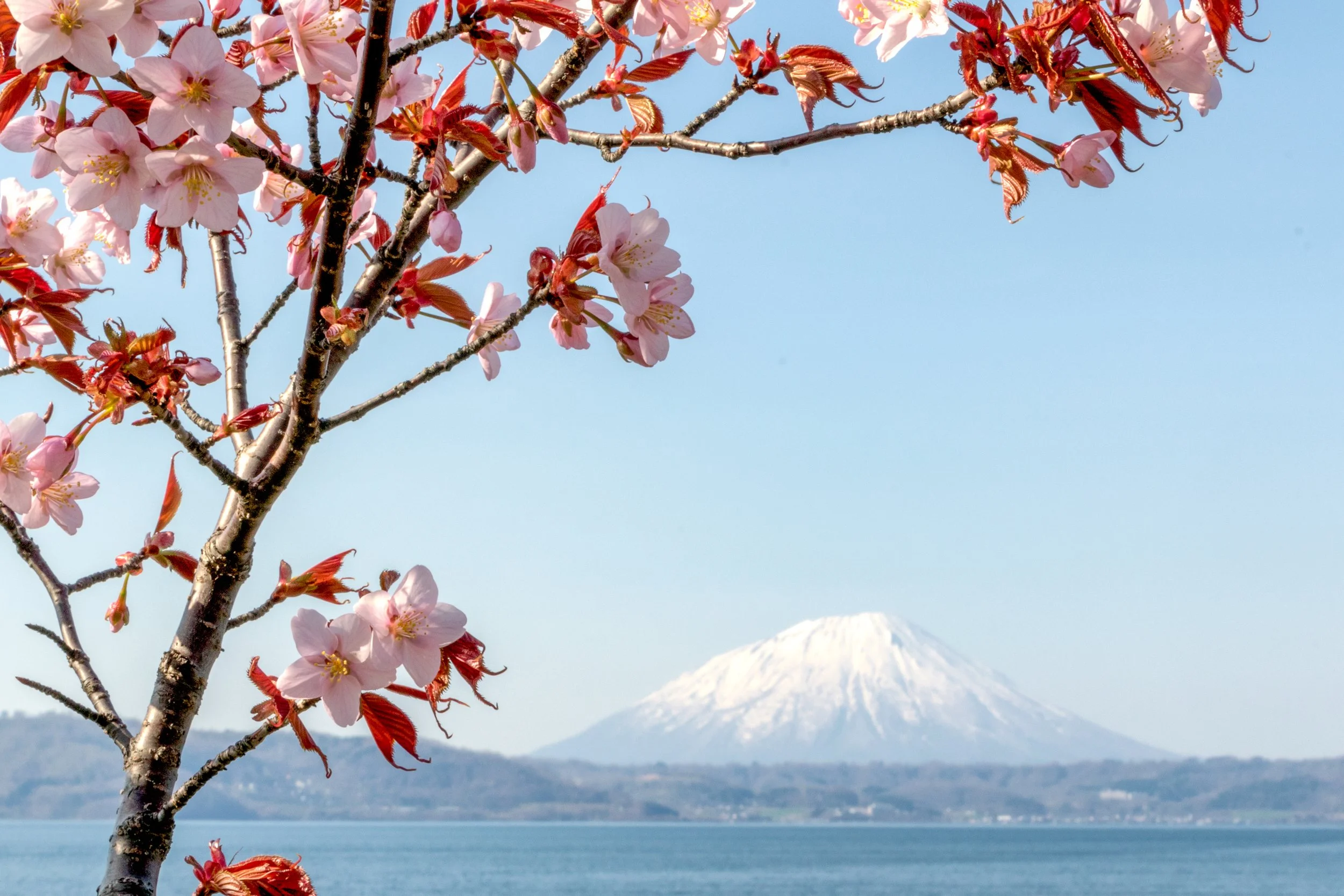 Sightseeing Niseko Toya.jpg