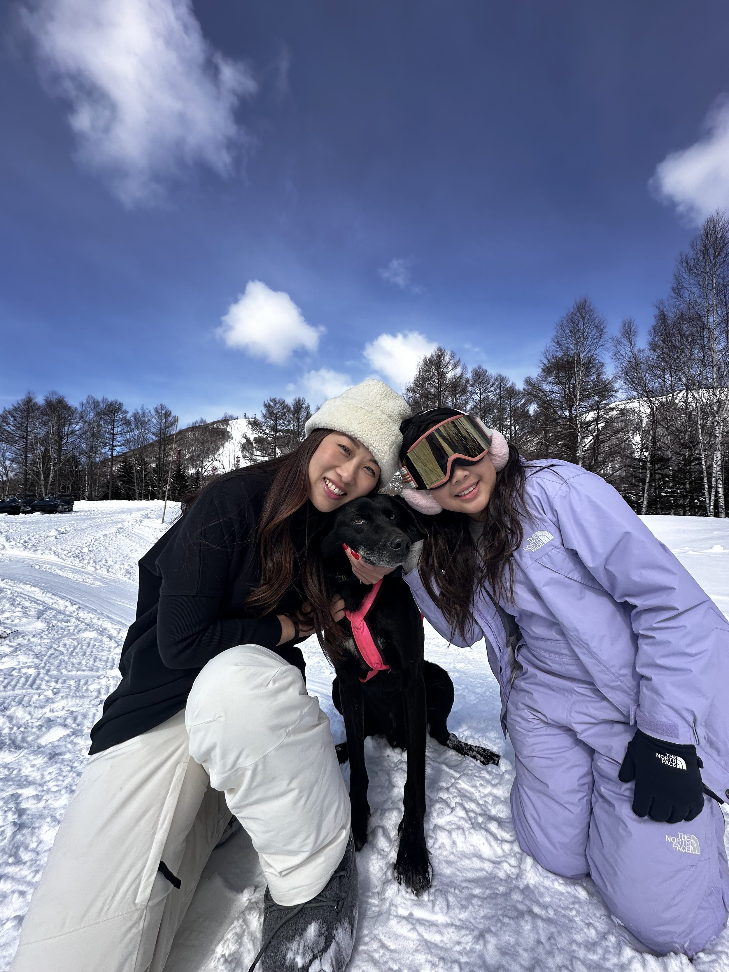 Bella Koh The Vale Rusutsu dog sledding.jpg