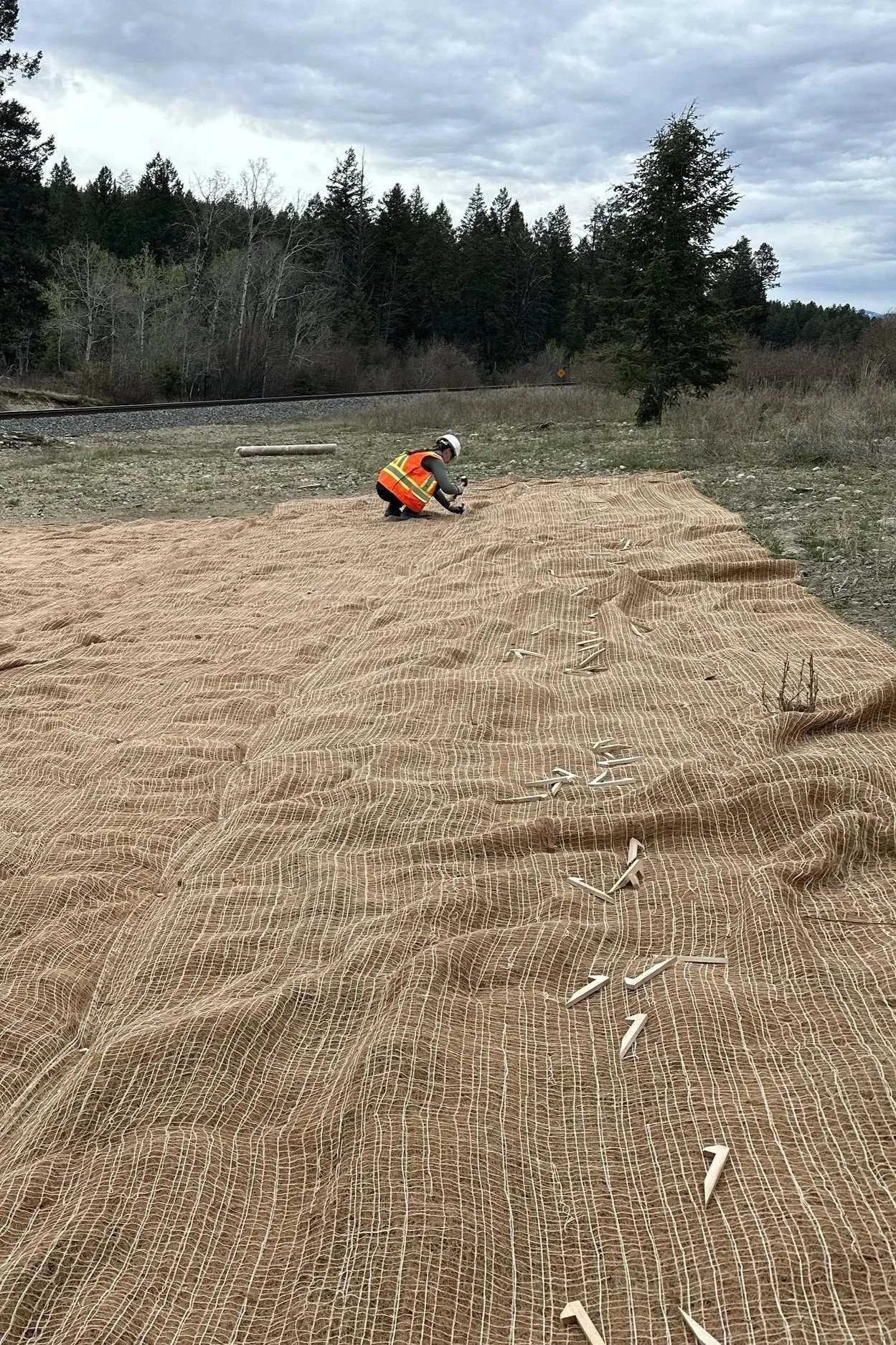 Holding Your Ground: Keeping Soils in Place