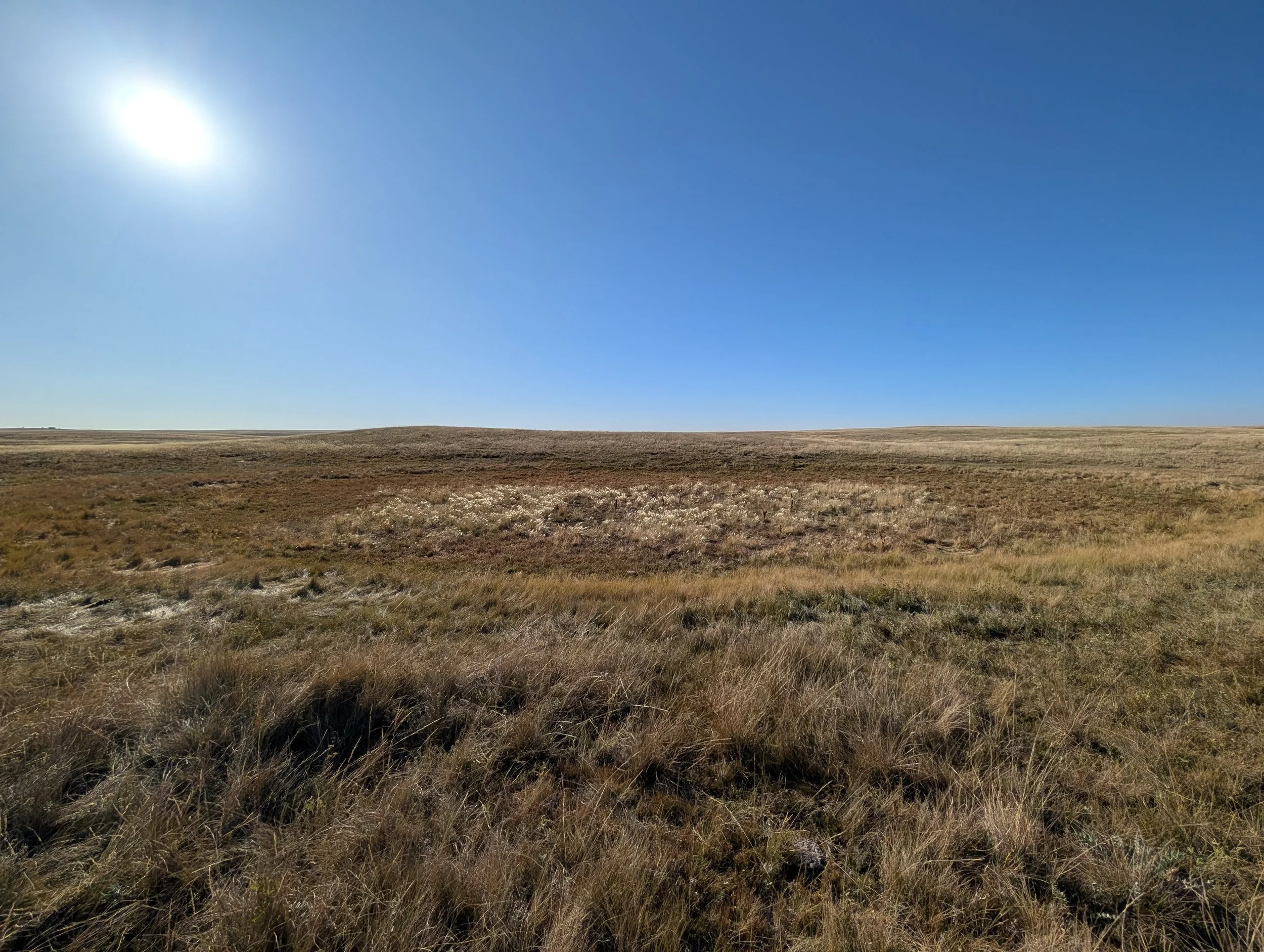 The Wetland Was Here: Why Timing Changes What We Can See
