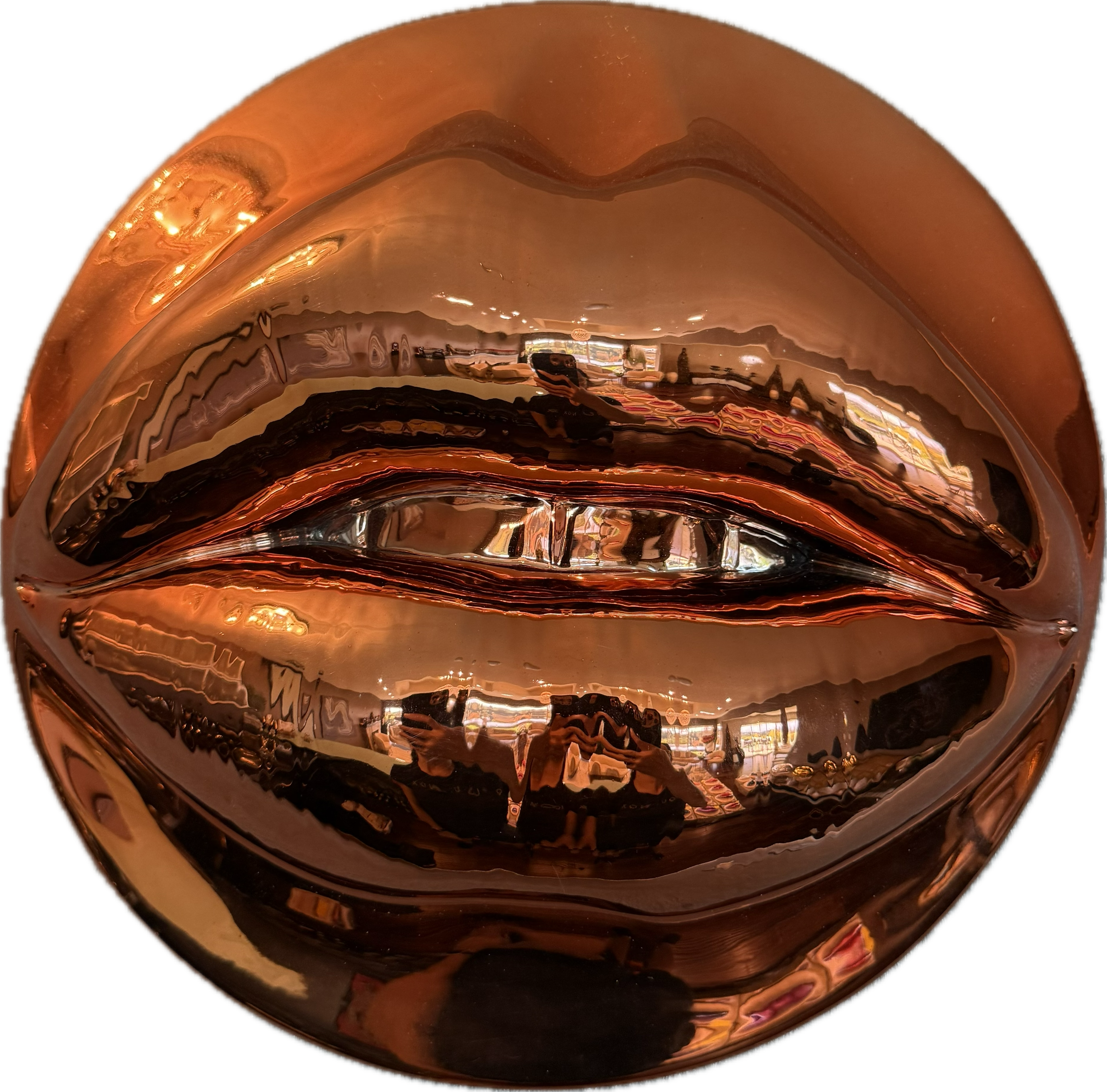 Photo Feb 15 2026, 5 36 53 PM (3) (1).png