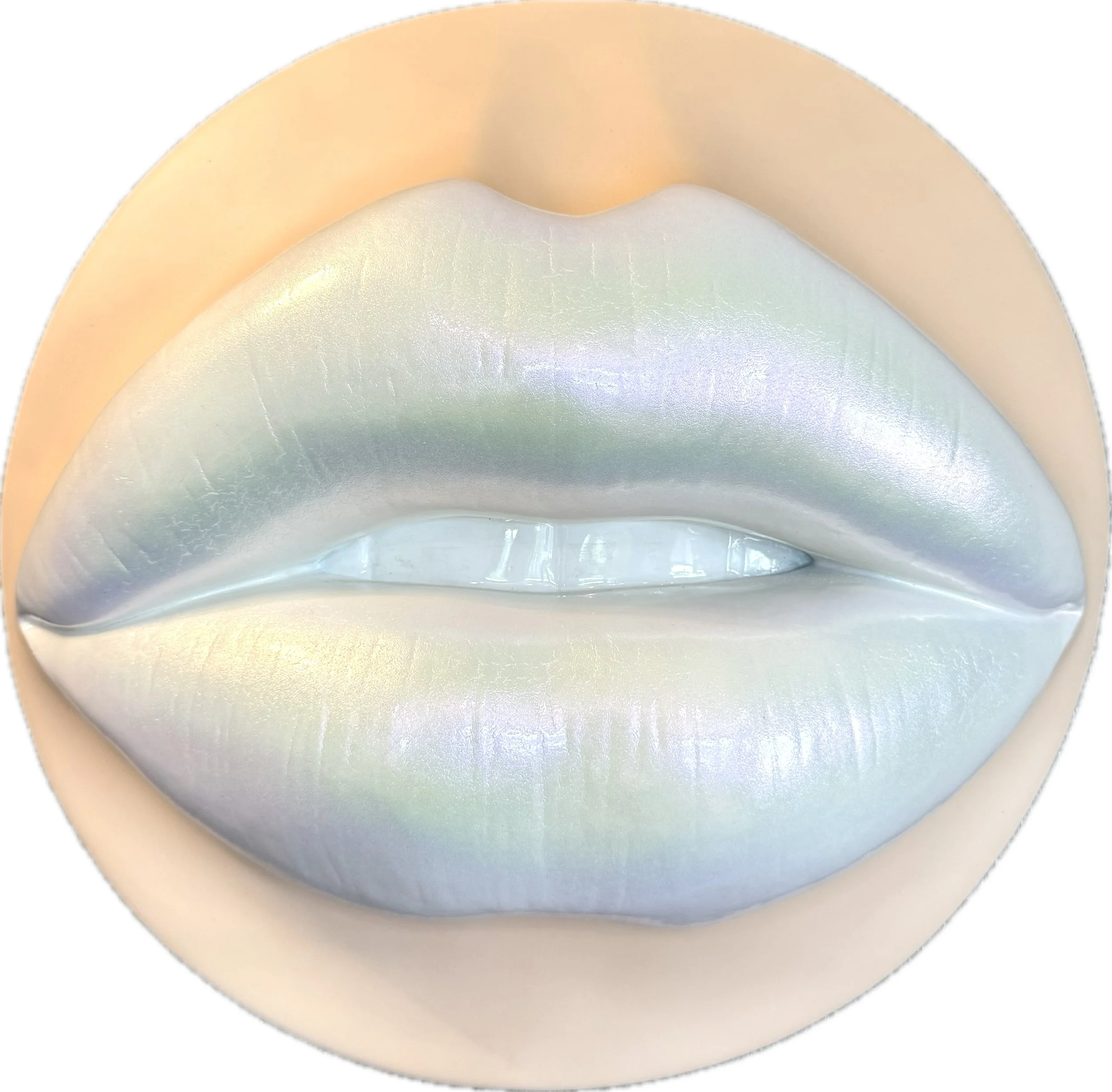 Photo Feb 15 2026, 5 36 53 PM (1).jpg