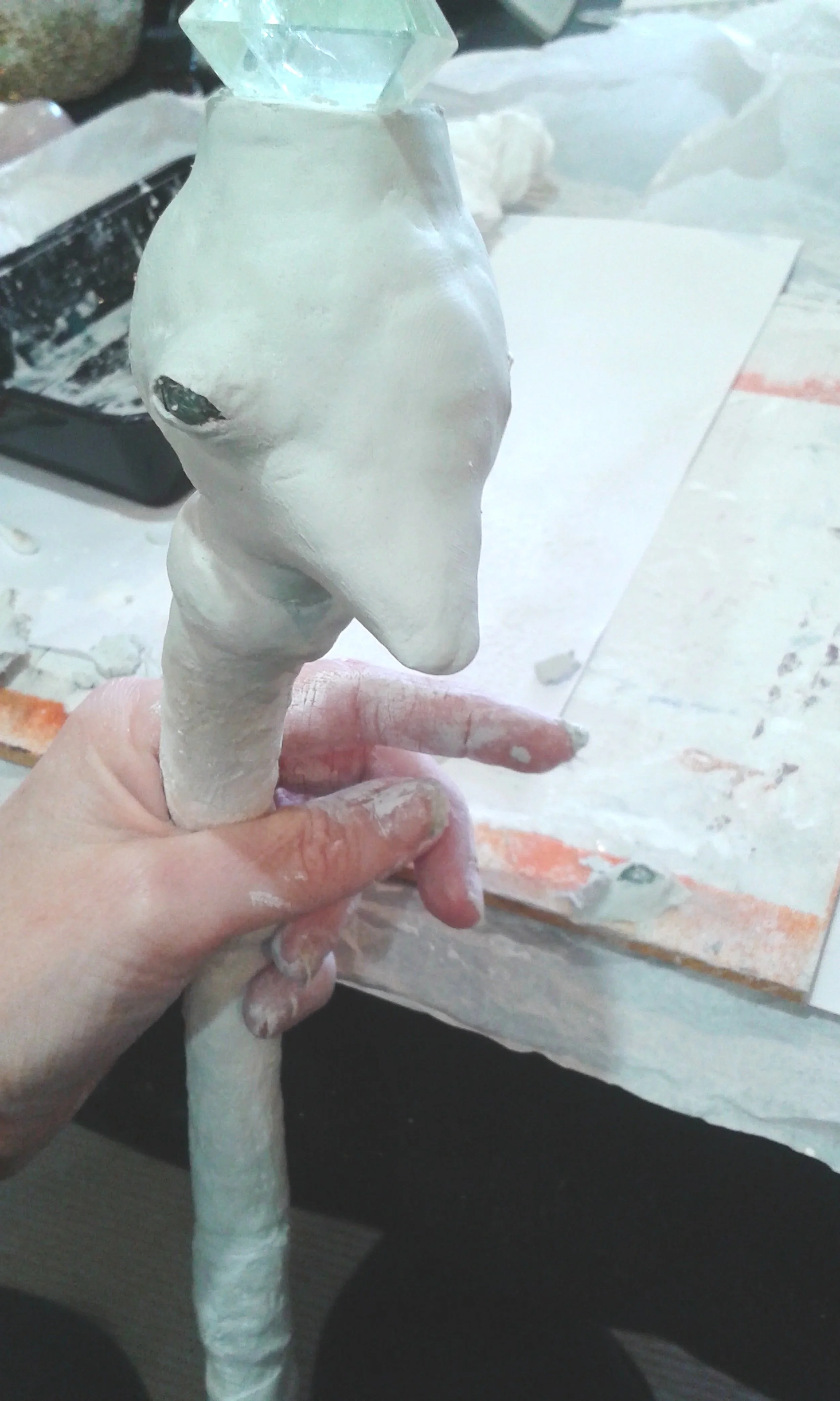 20160809_121447.jpg