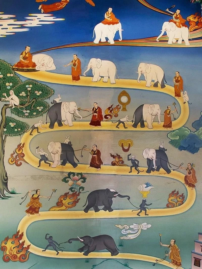 Shiné - Calm Abiding Meditation w/ John Halpern 