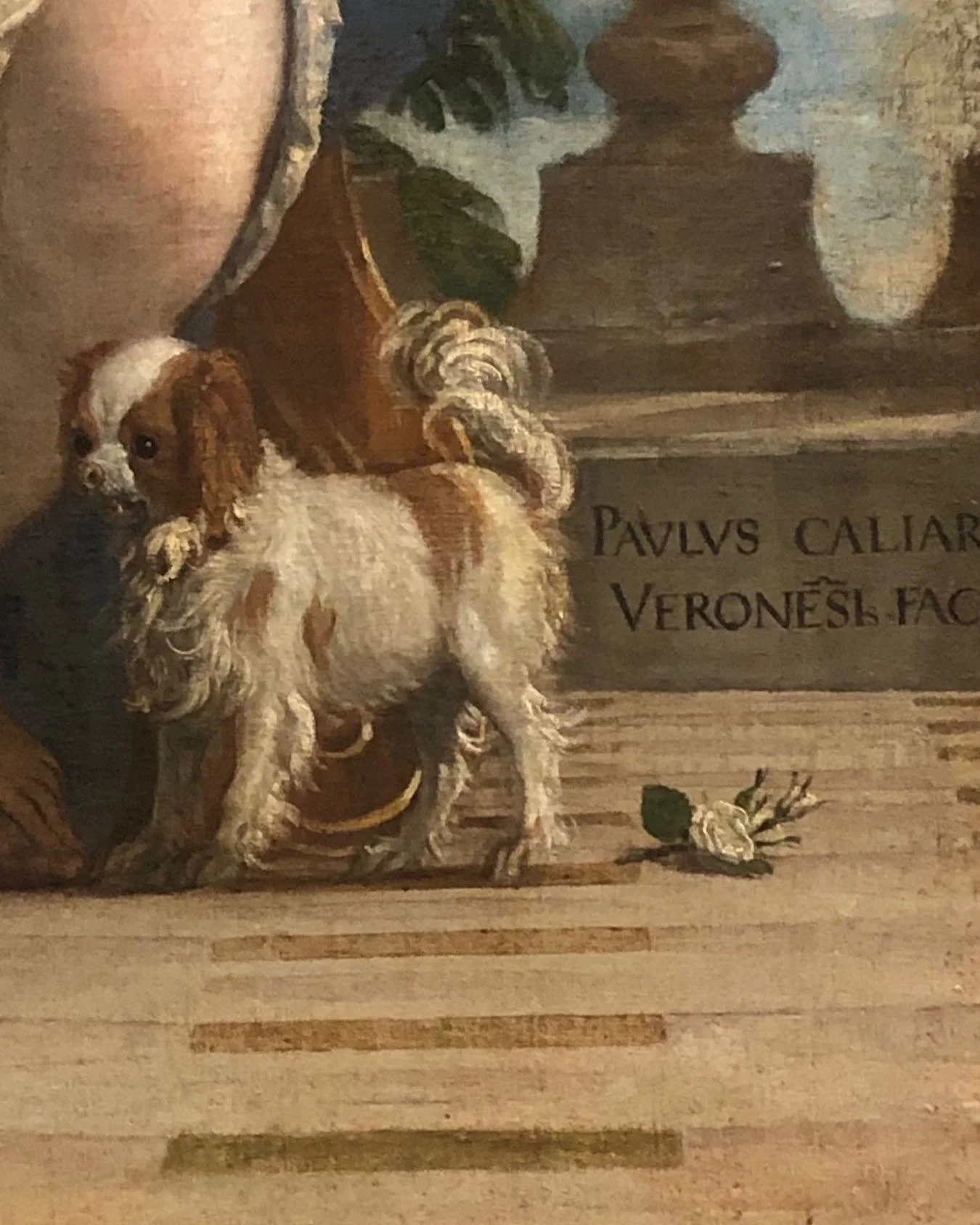 Good morning: dogs in art at The Fitzwilliam Museum - oh yes and the signature of Veronese: warmest wishes.