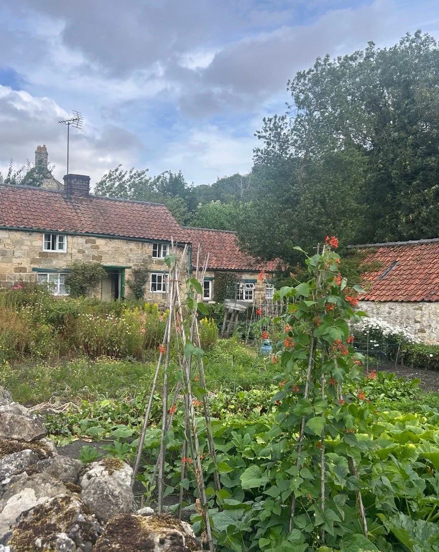 Good afternoon: cottage and Garden, Rievaulx - summer perfection: warmest wishes.