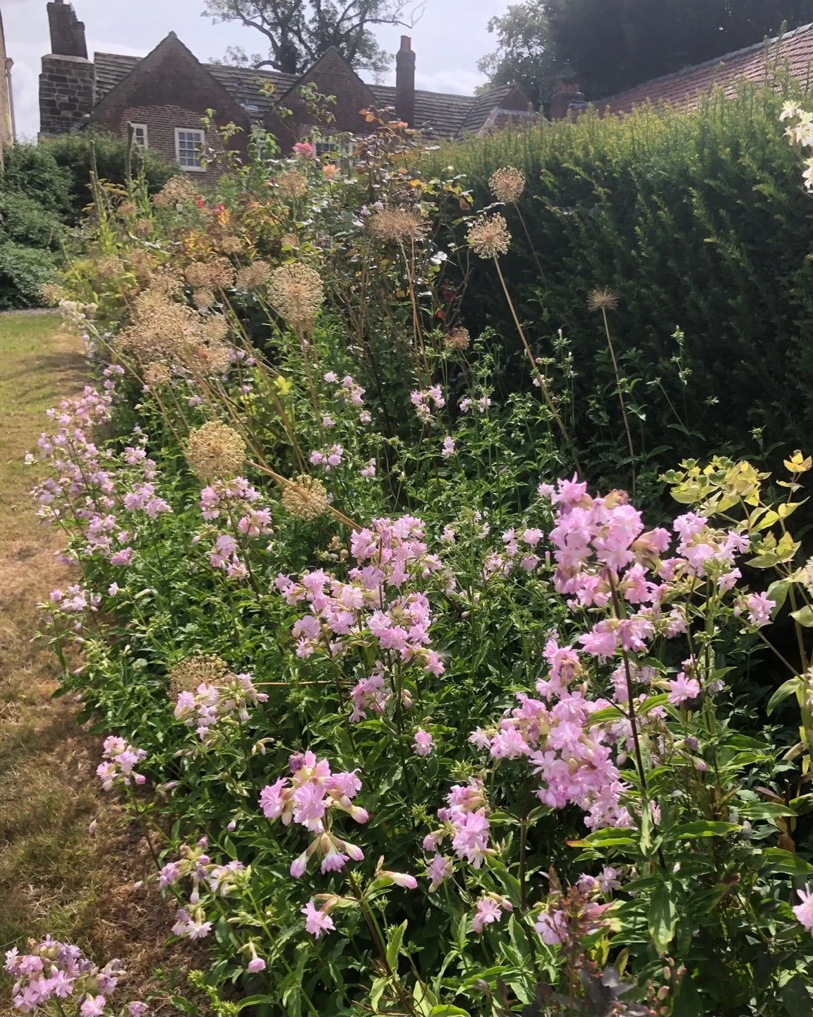 Good evening: the mellow gardens of Shandy Hall were on our tour today - former home of Laurence Sterne: here a border of sweet william: warmest wishes.