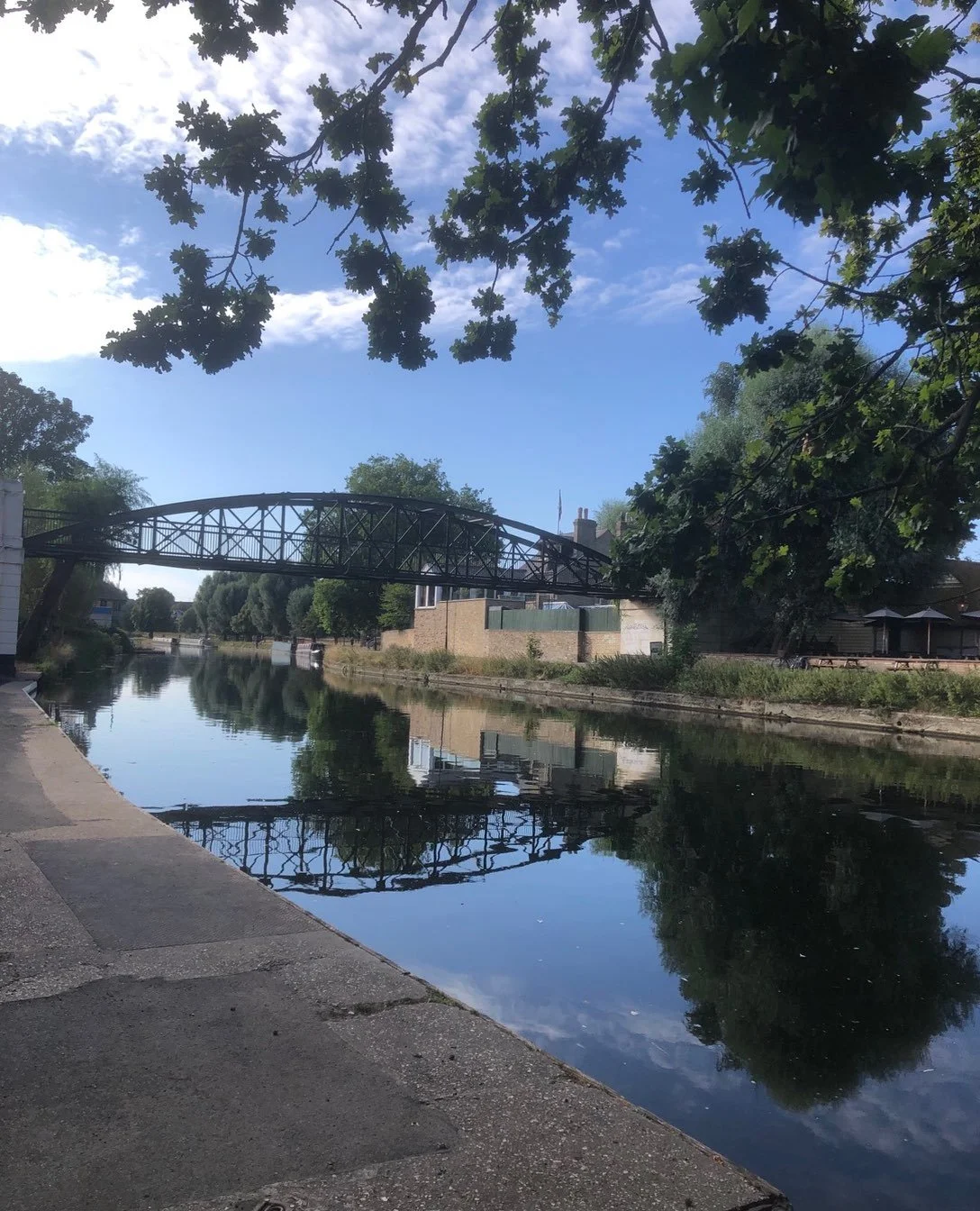 Morning Cambridge: warmest wishes.