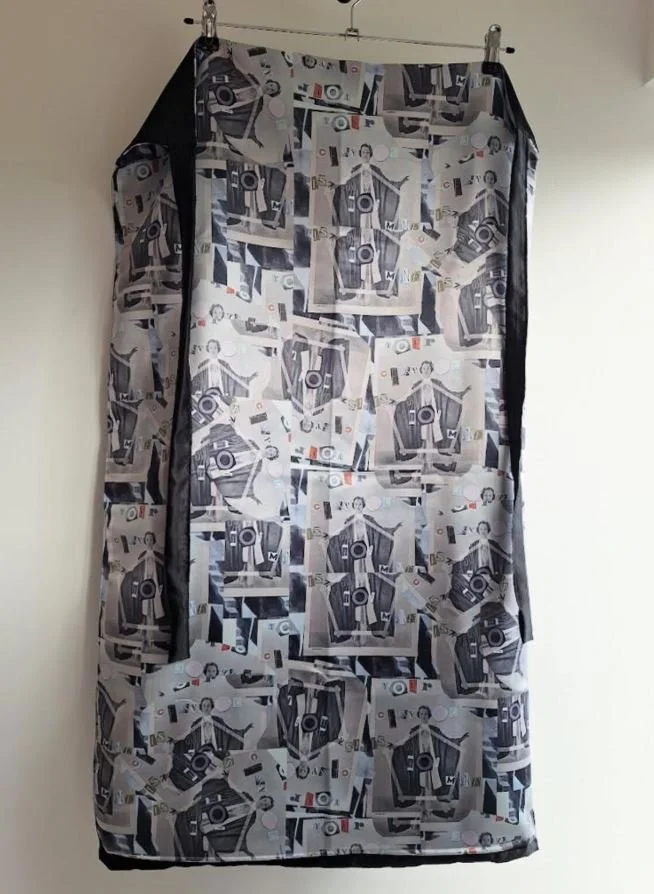 schiaparelli.JPG