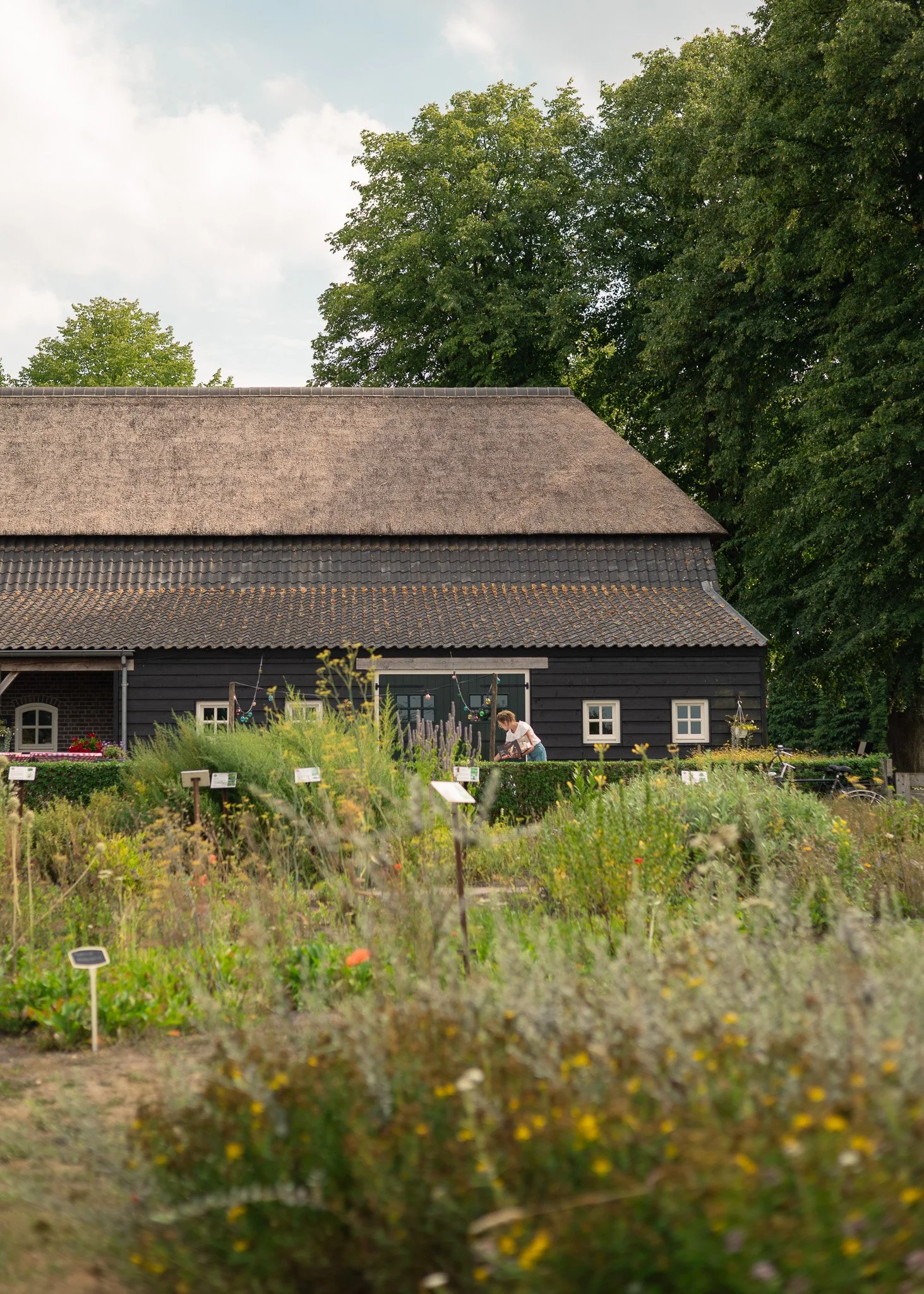 Boerderij Bijzonder Brabants Deurne, sfeerbeeld locatie