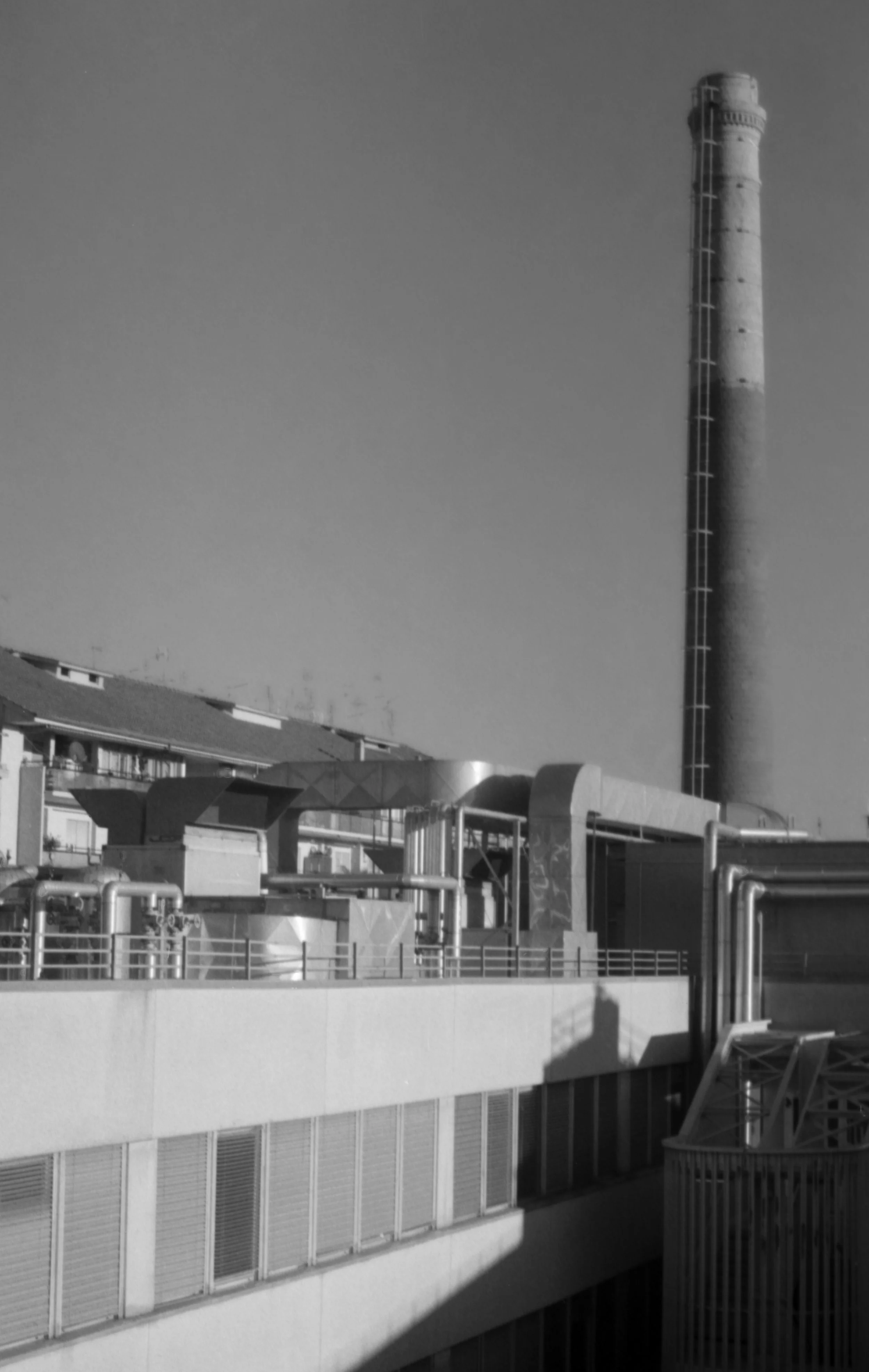 img012.jpg