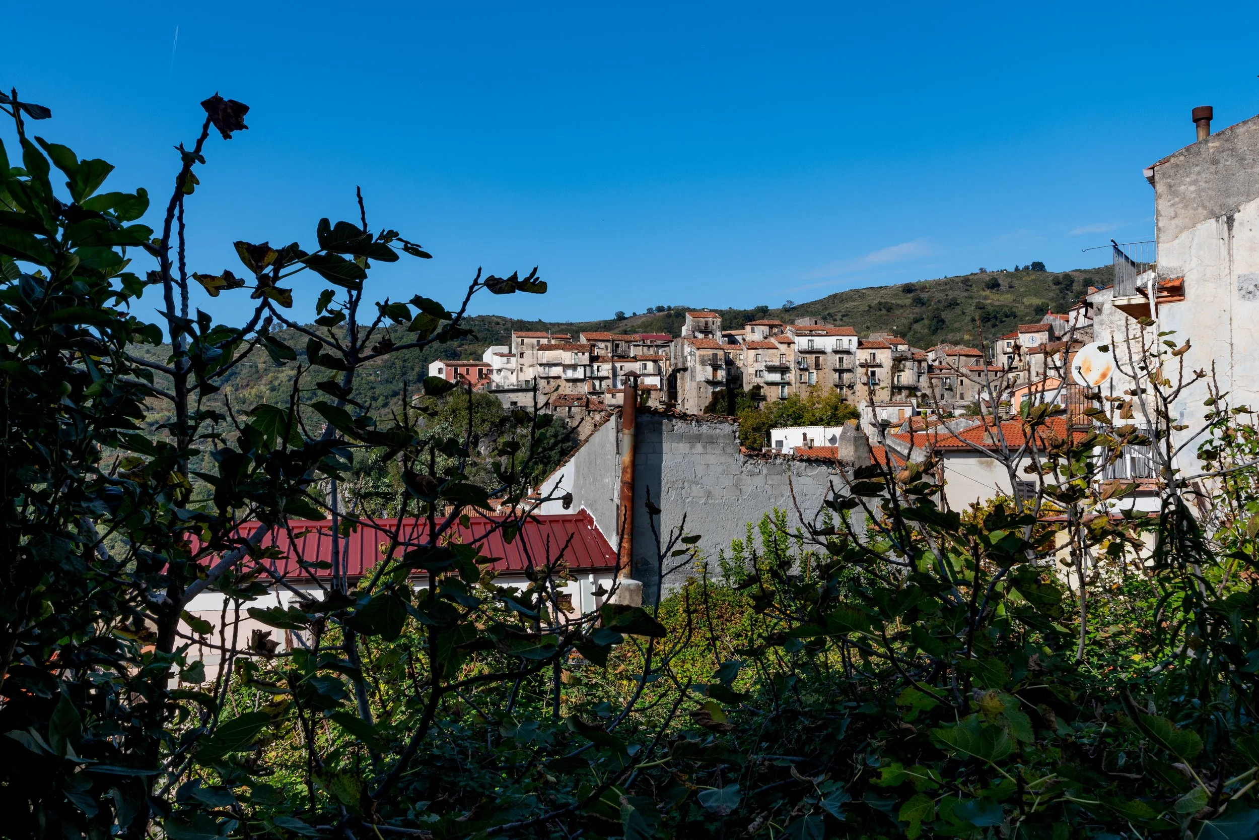 DSC_5229.jpg
